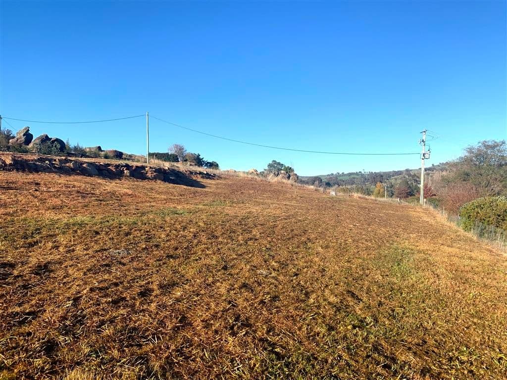 27 Gilmore Street, Adelong NSW 2729, Adelong - Thumbnail 2