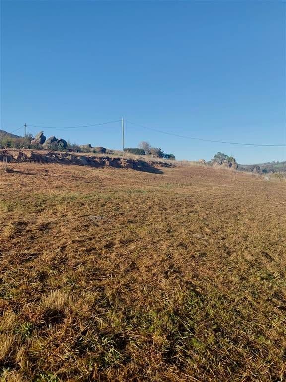 27 Gilmore Street, Adelong NSW 2729, Adelong - Thumbnail 3