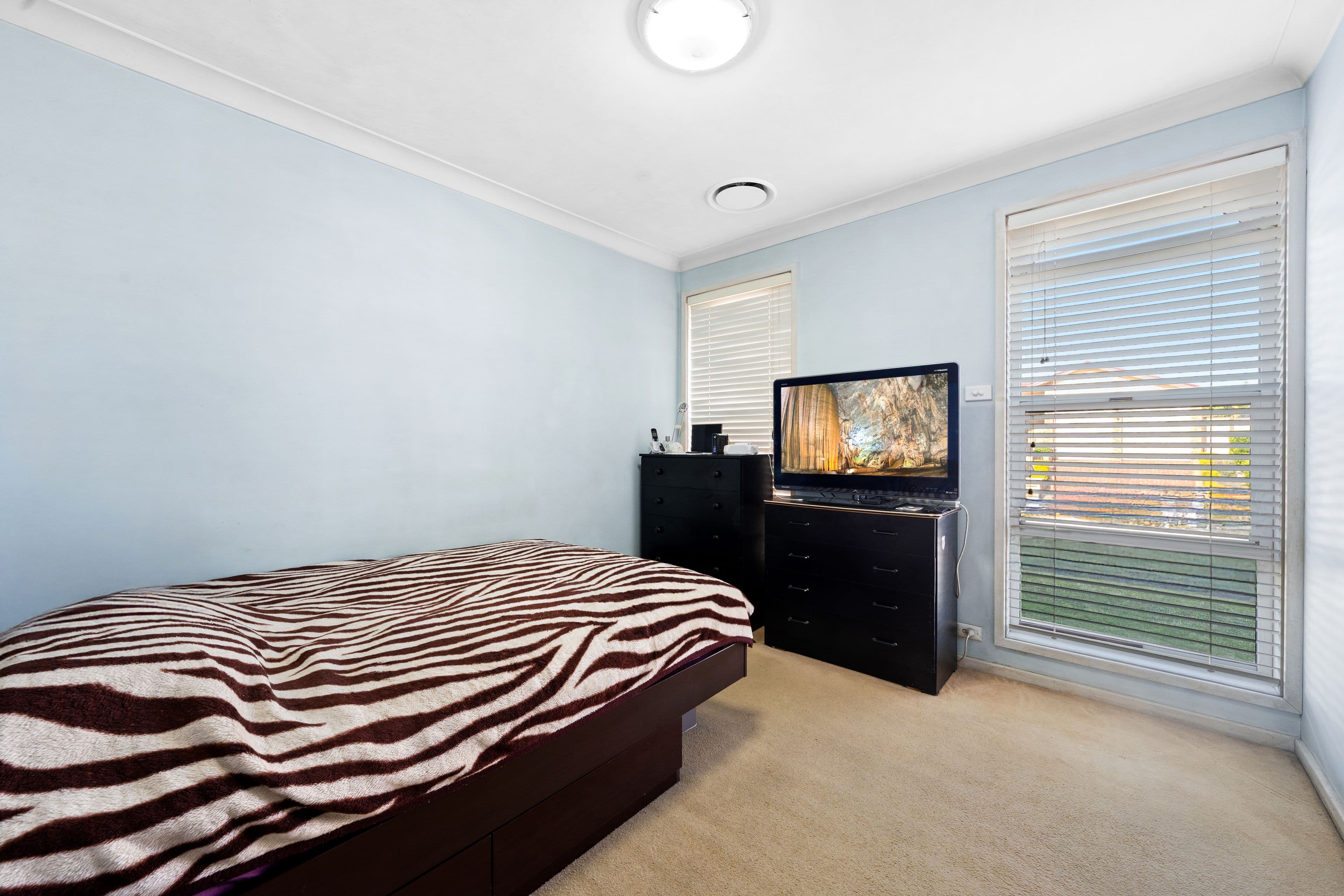 29 Ben Lomond Street, Bossley Park NSW 2176, Bossley Park - Thumbnail 7