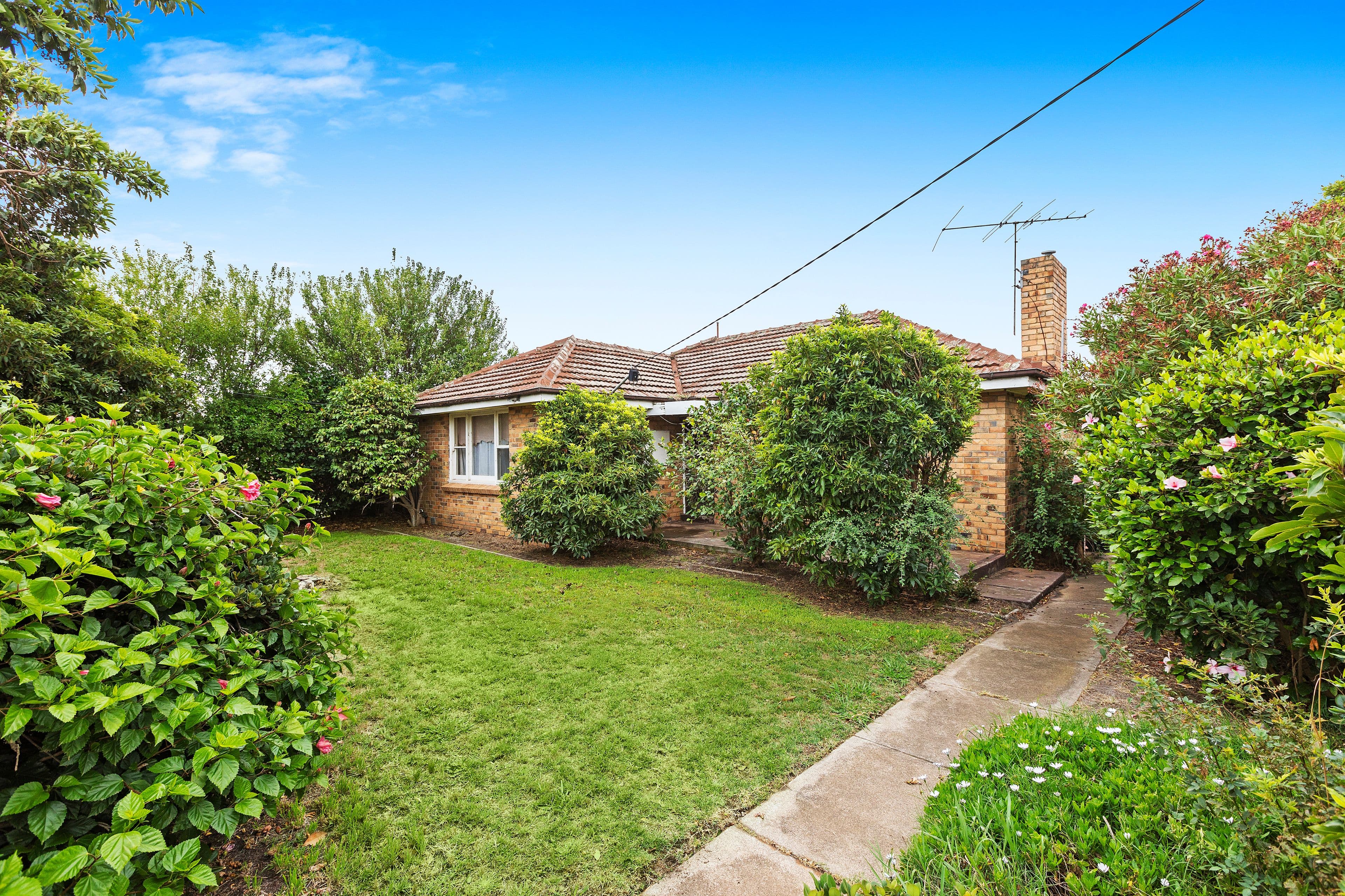 23 Wingrove Street, Cheltenham VIC 3192, Cheltenham - Thumbnail 6