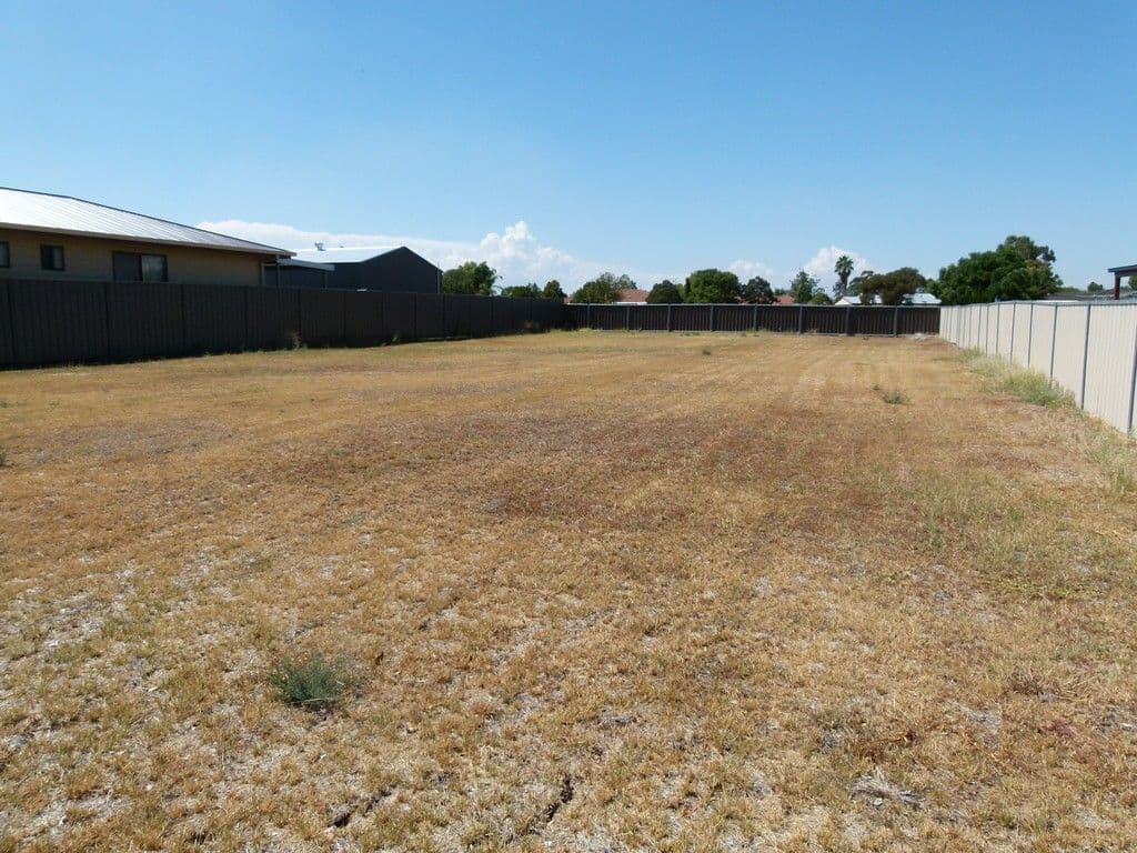 77 York Street, Forbes NSW 2871, Forbes - Image 1