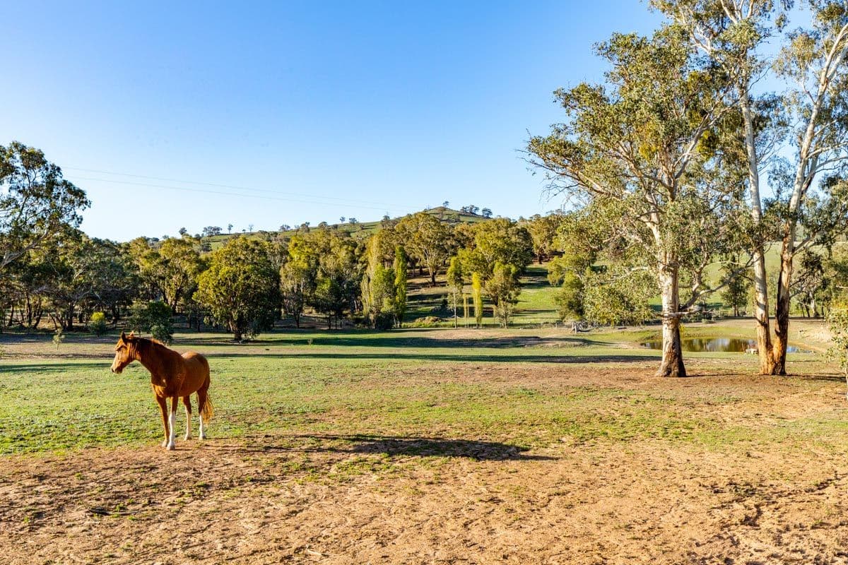 101 Cattle Street, Binalong NSW 2584, Binalong - Thumbnail 2