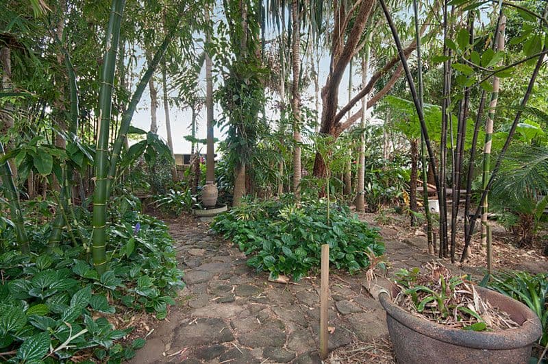 11 Mackay Street, BYRON BAY NSW 2481, Byron Bay - Thumbnail 6