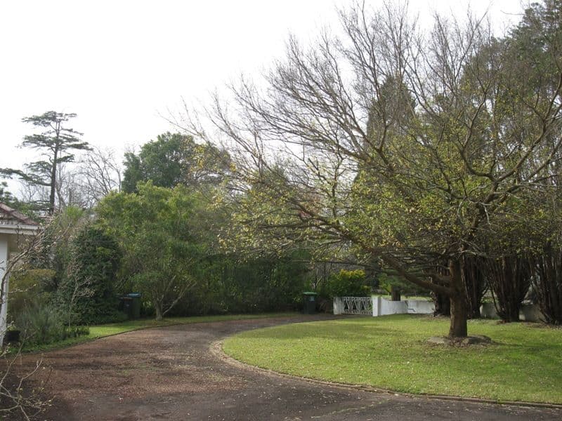 52-54 Grosvenor Street, WAHROONGA NSW 2076, Wahroonga - Thumbnail 2