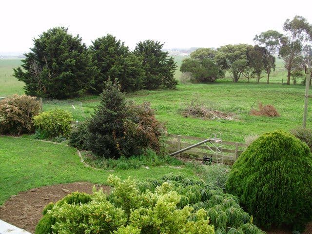 62 Clarke Street, KOROIT VIC 3282, Koroit - Thumbnail 4