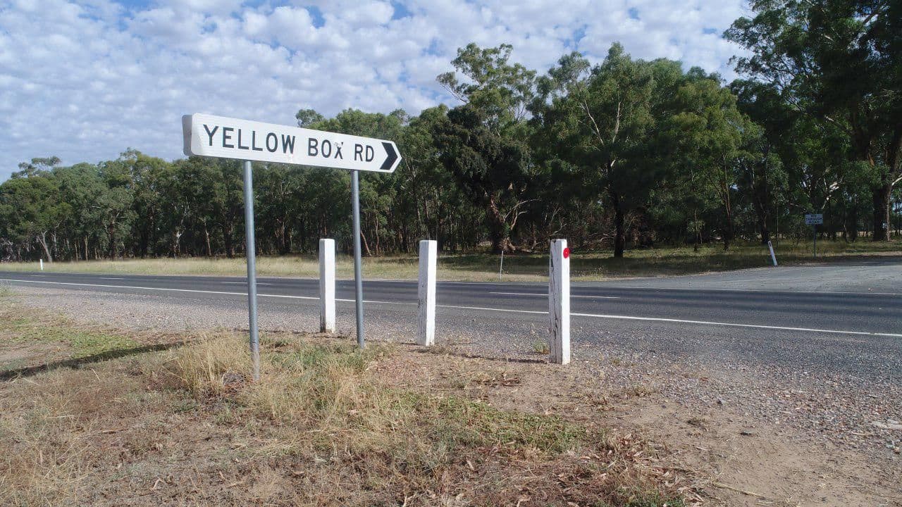 98 Yellow Box Road, Forbes - Thumbnail 2