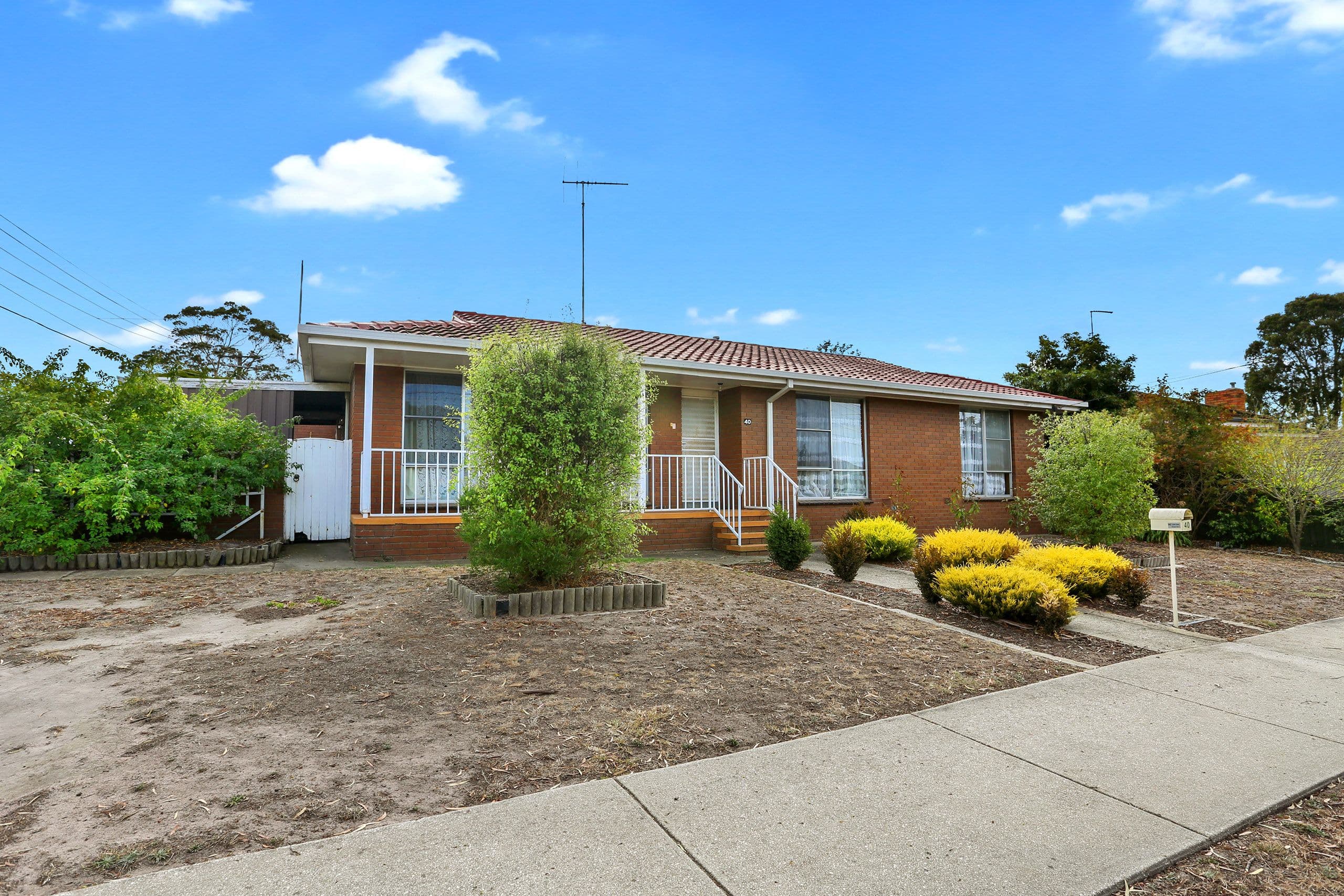 40 Walpole Avenue, Belmont VIC 3216, Belmont - Image 1