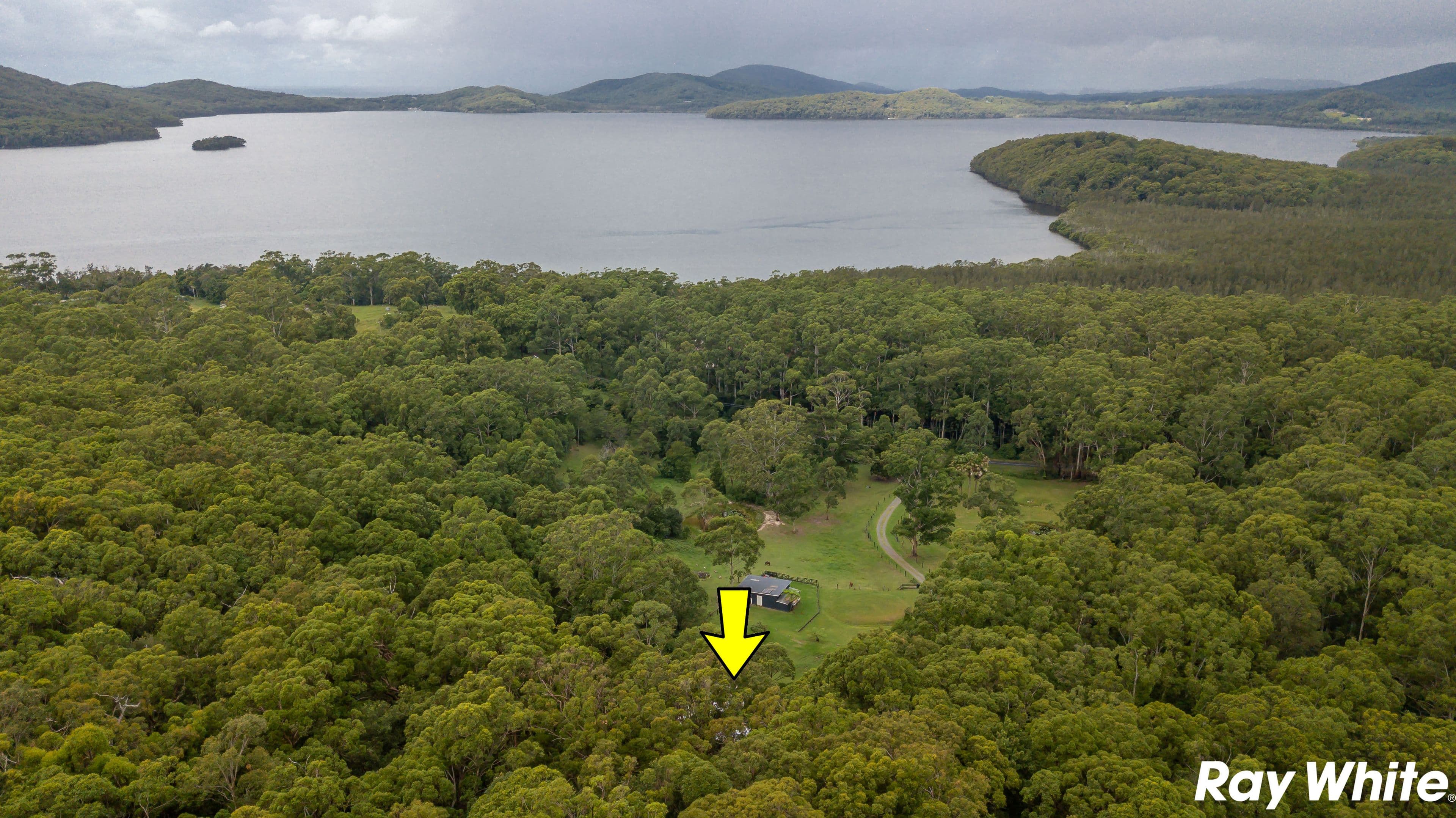 793 Coomba Road, Whoota NSW 2428, Whoota - Thumbnail 5