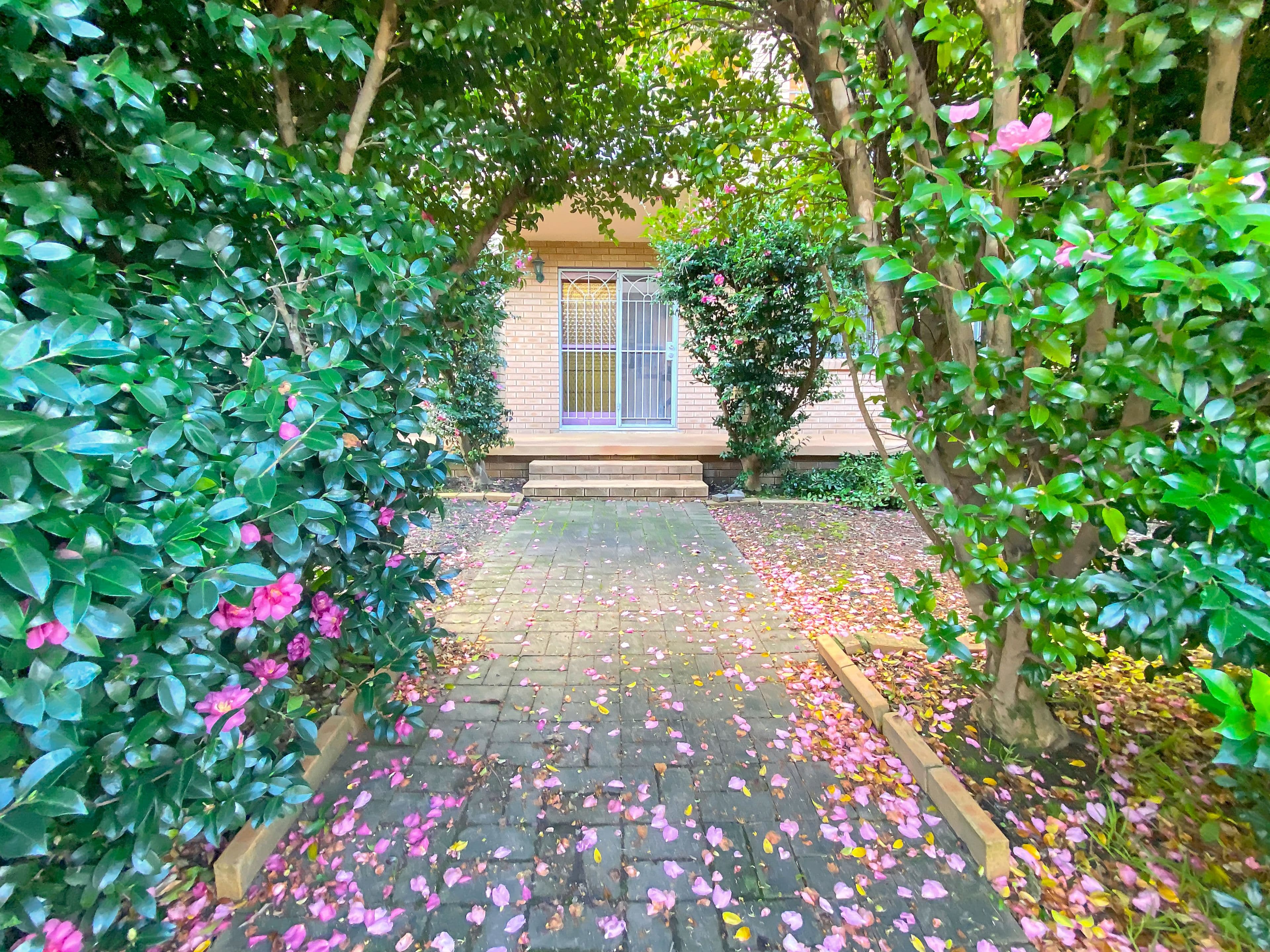 47A Baumans Road, Peakhurst NSW 2210, Peakhurst - Image 1