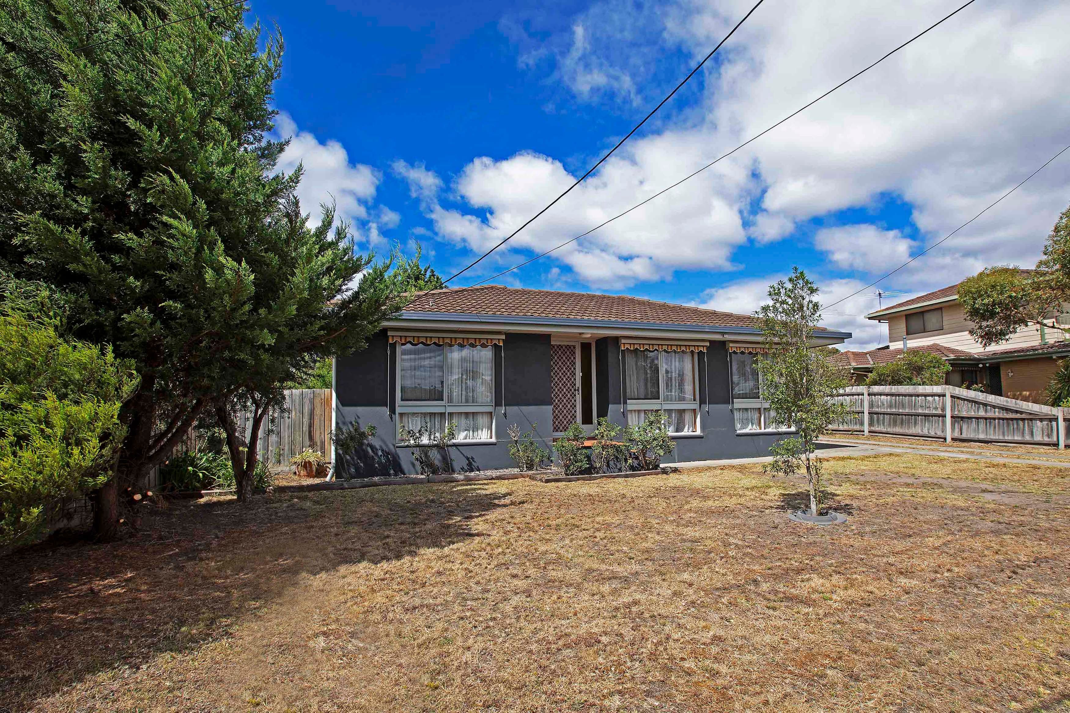 11 Griffith Street, Grovedale VIC 3216, Grovedale - Image 1