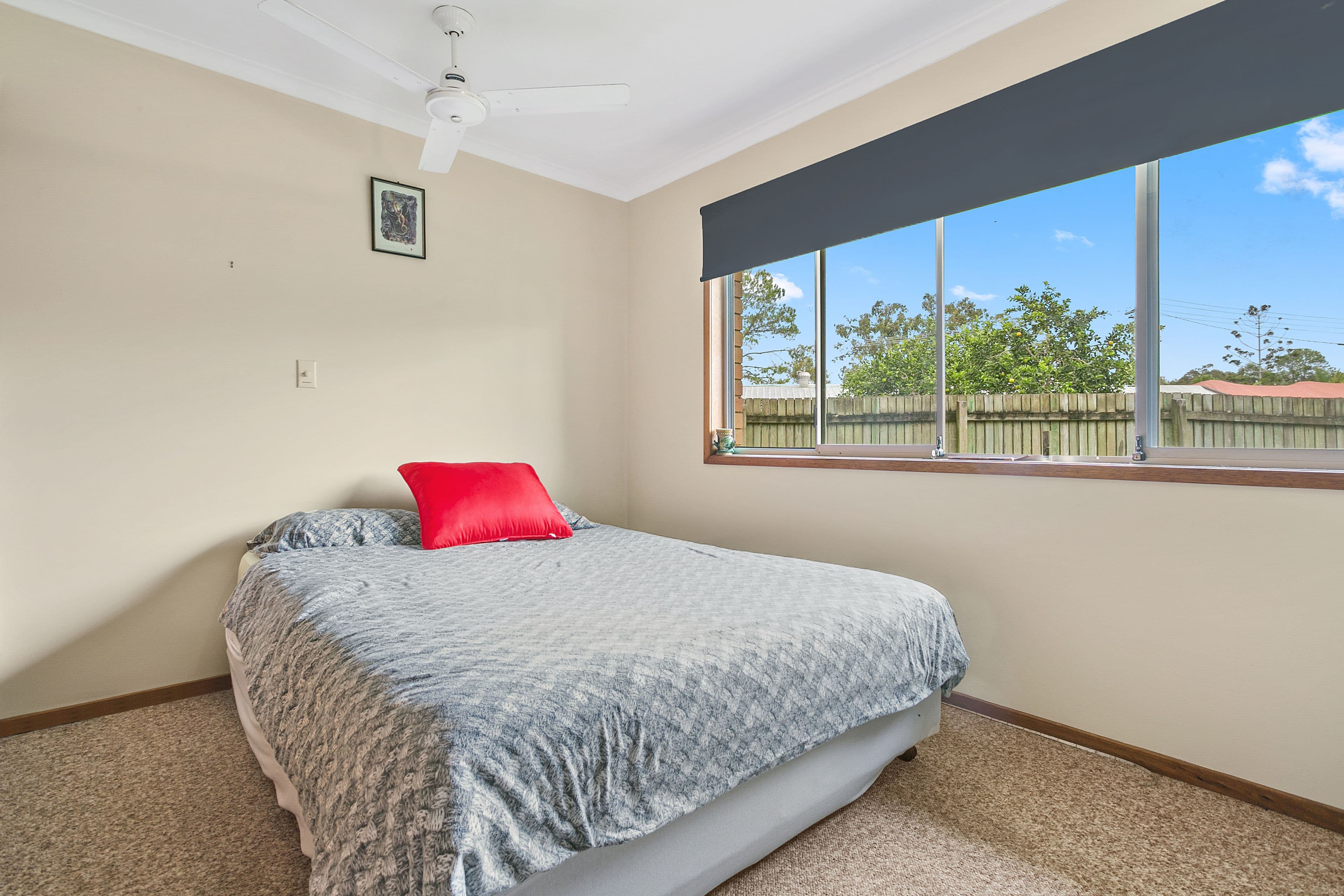 19 Cobham Street, Tewantin QLD 4565, Tewantin - Thumbnail 8