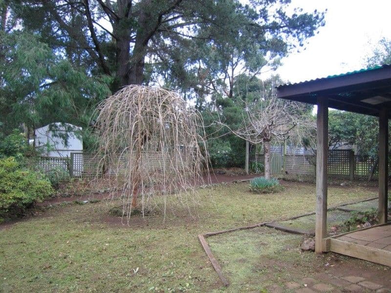 517 Monbulk Road, MONBULK VIC 3793, Monbulk - Thumbnail 6