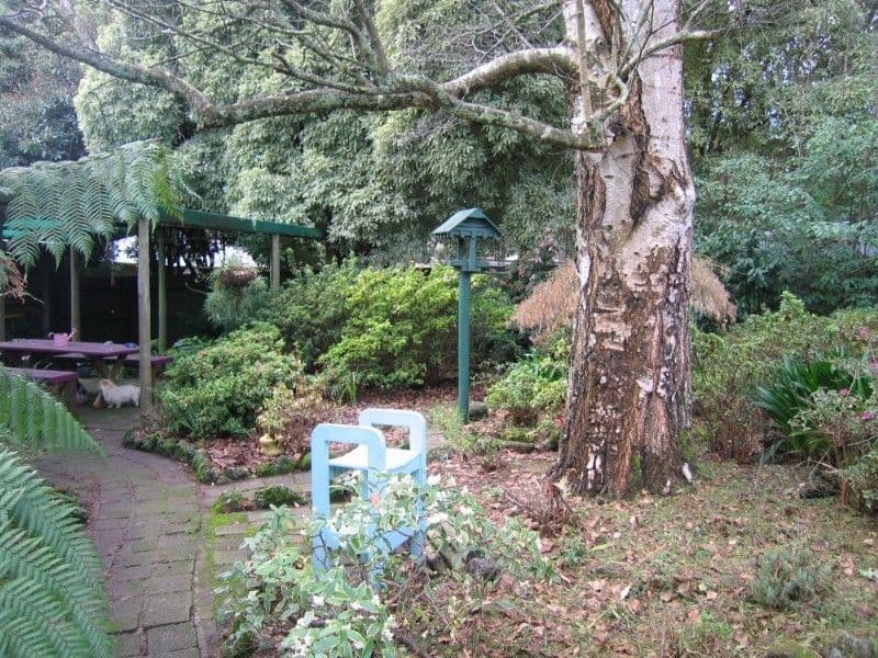 517 Monbulk Road, MONBULK VIC 3793, Monbulk - Thumbnail 7