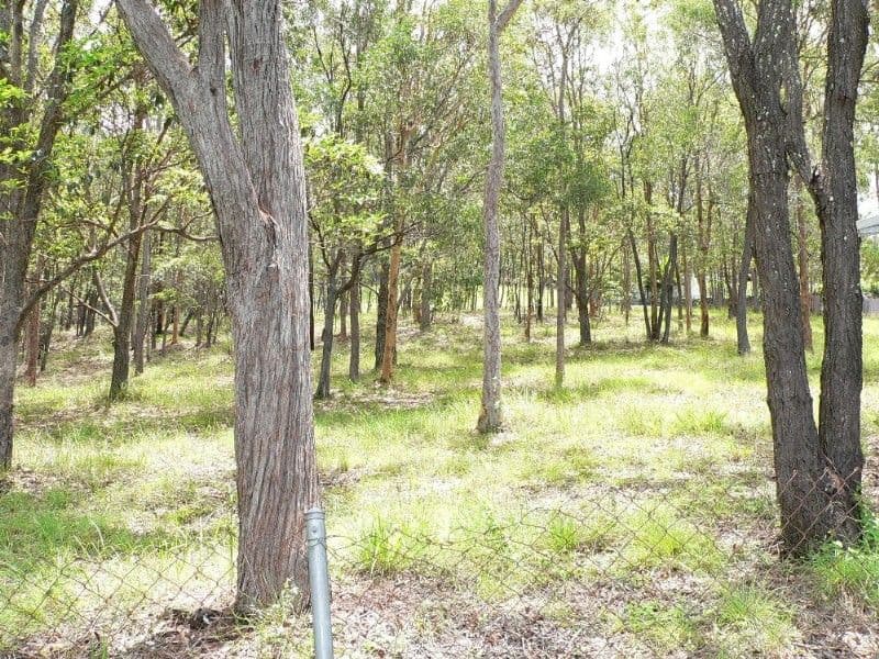30 Jesmond Drive, HELENSVALE QLD 4212, Helensvale - Thumbnail 8