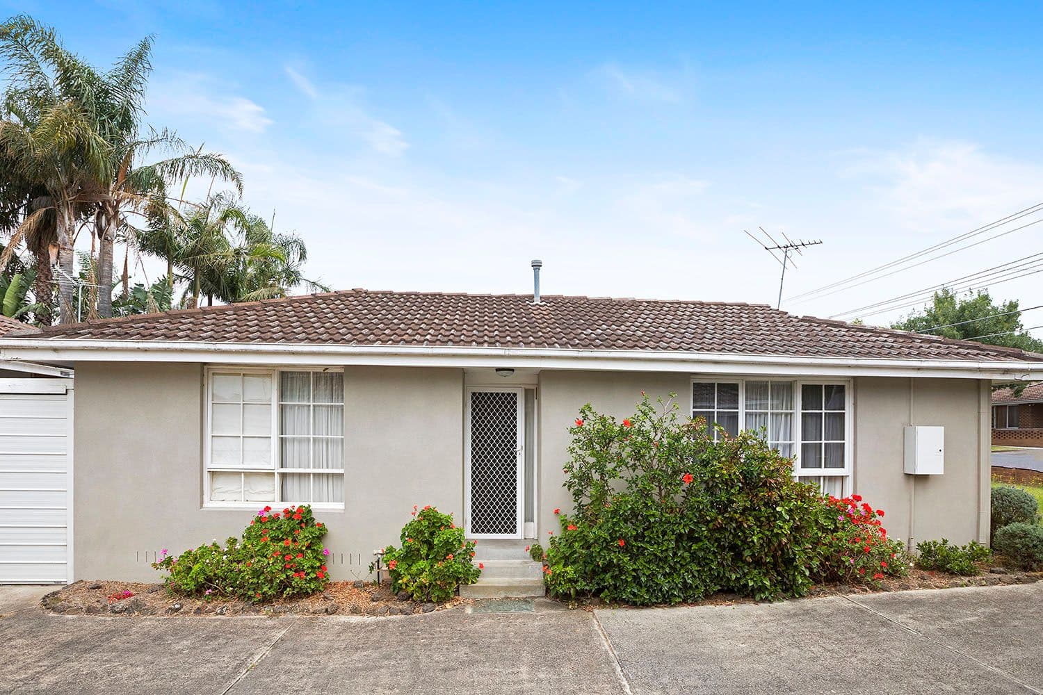 20 Patty Street, Mentone VIC 3194, Mentone - Image 1