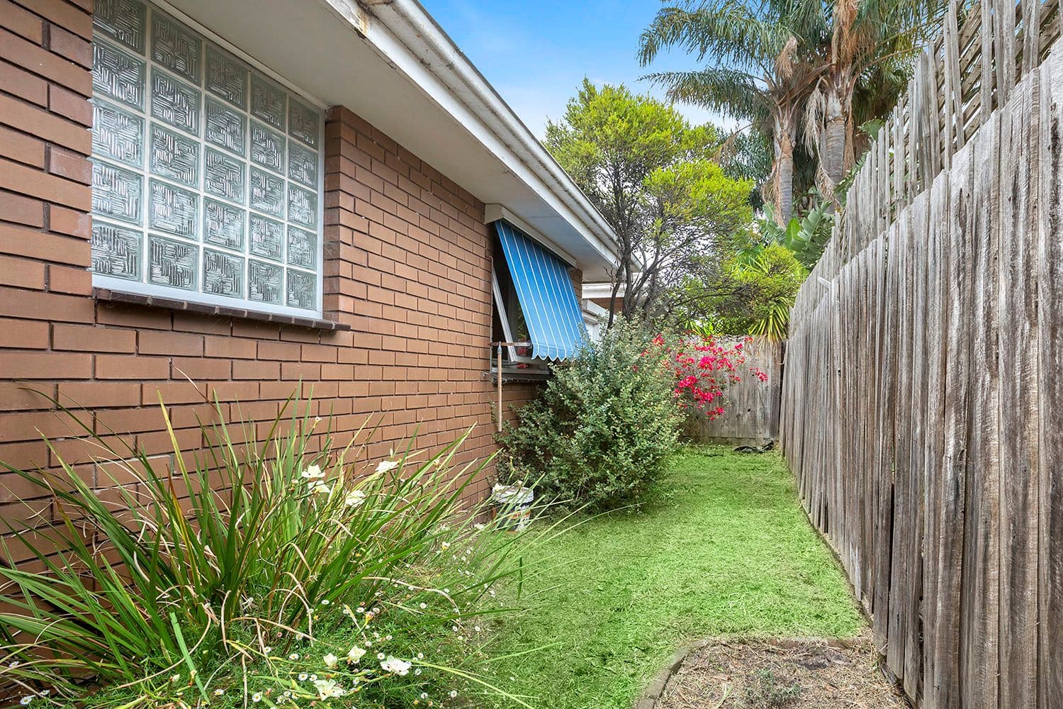 20 Patty Street, Mentone VIC 3194, Mentone - Thumbnail 4
