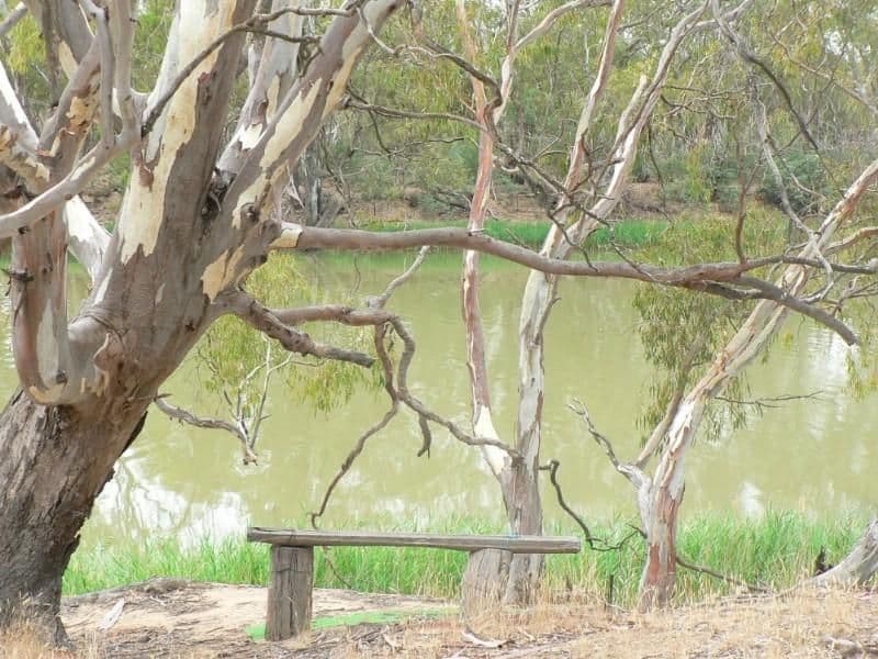 73 Peppernell Road, Wharparilla VIC 3564, Wharparilla - Thumbnail 3