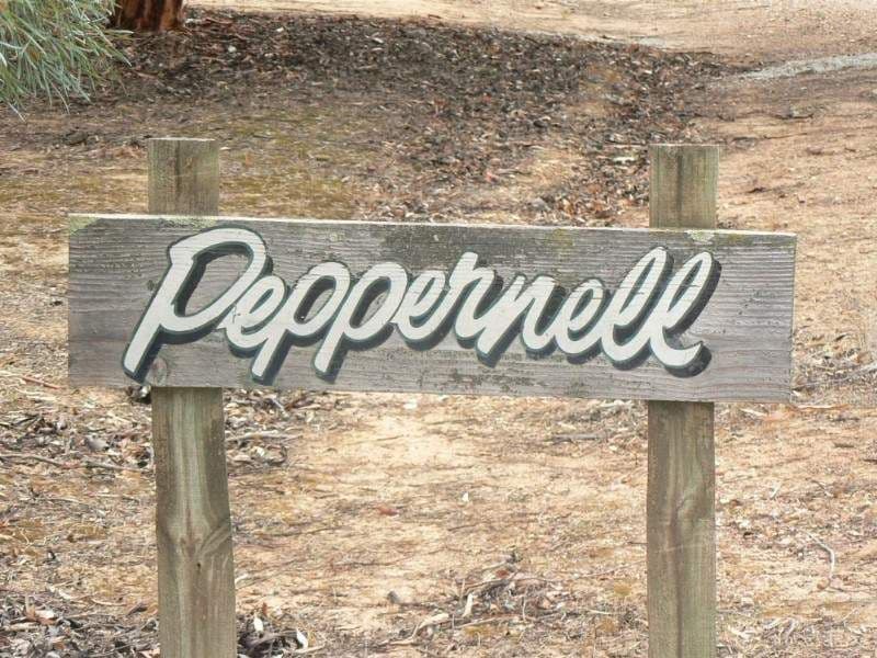 73 Peppernell Road, Wharparilla VIC 3564, Wharparilla - Thumbnail 7