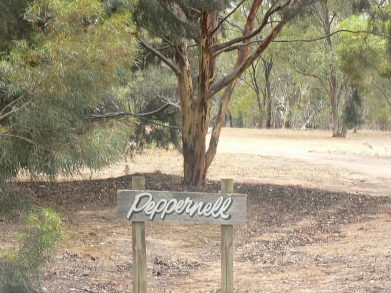 73 Peppernell Road, Wharparilla VIC 3564, Wharparilla - Thumbnail 8