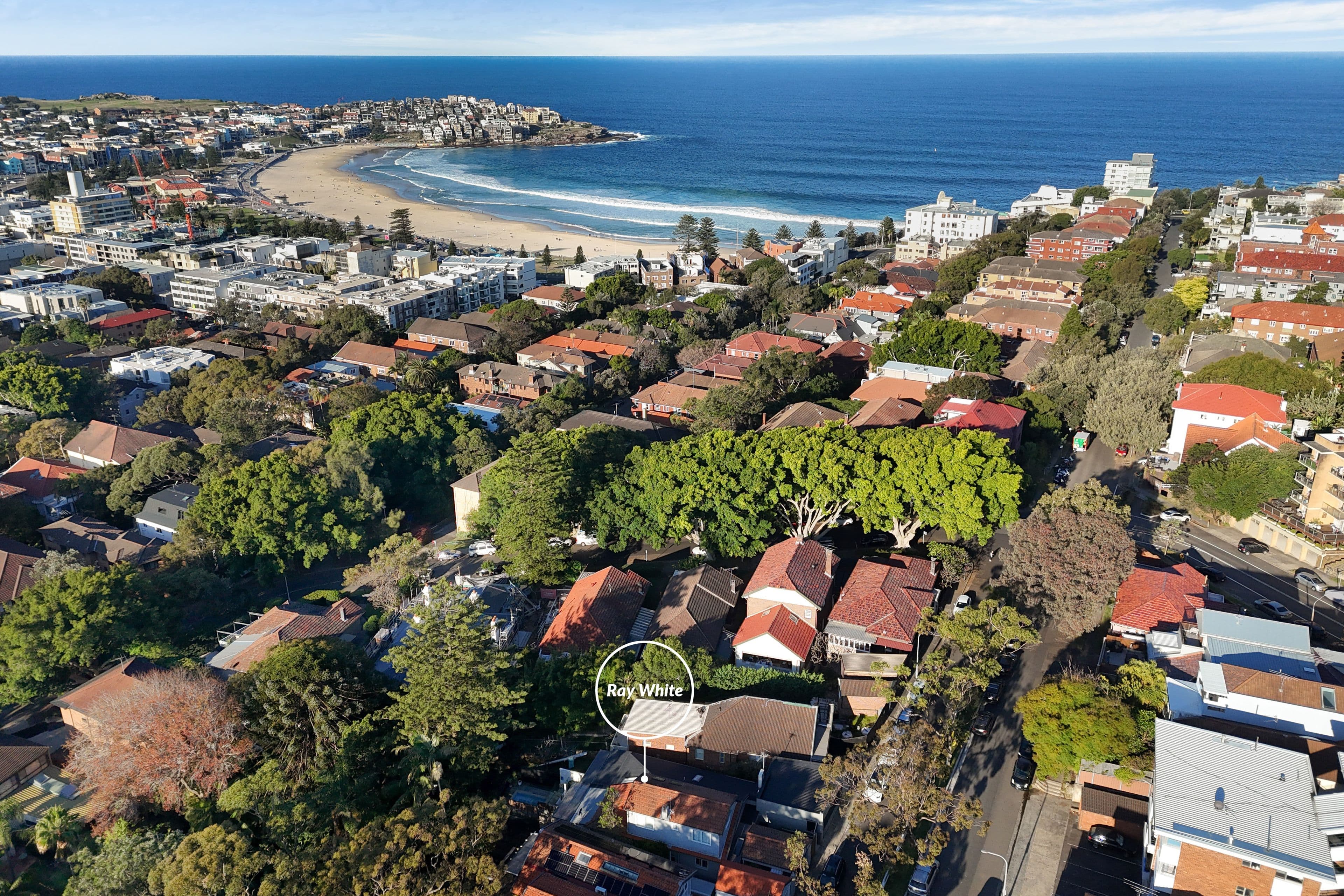57 Francis Street, Bondi Beach NSW 2026, Bondi Beach - Thumbnail 4
