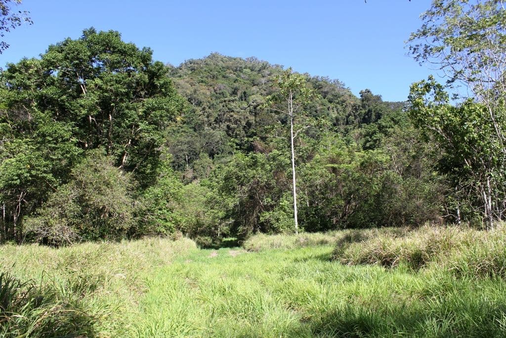 Lot 32 Spring Creek Road, Mowbray QLD 4877, Mowbray - Thumbnail 5