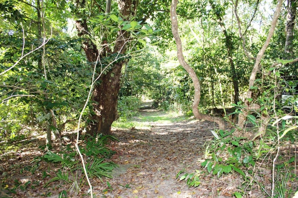 Lot 32 Spring Creek Road, Mowbray QLD 4877, Mowbray - Thumbnail 6