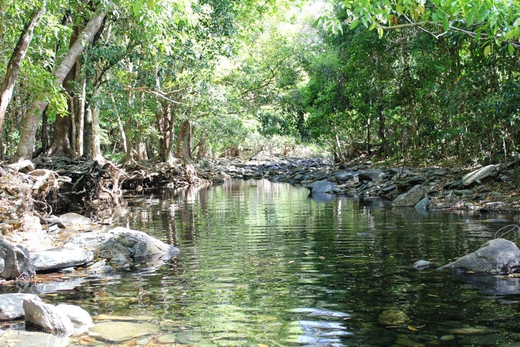 Lot 32 Spring Creek Road, Mowbray QLD 4877, Mowbray - Thumbnail 8