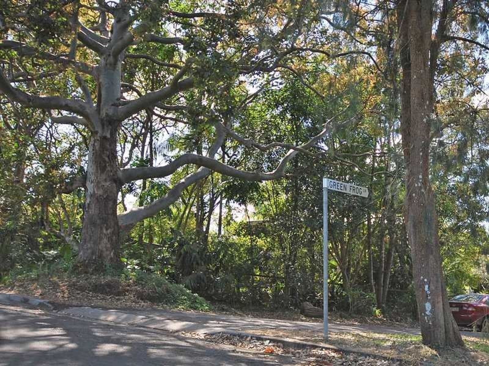 Lot 6 Lot 6 Green Frog Lane, Bangalow - Thumbnail 5