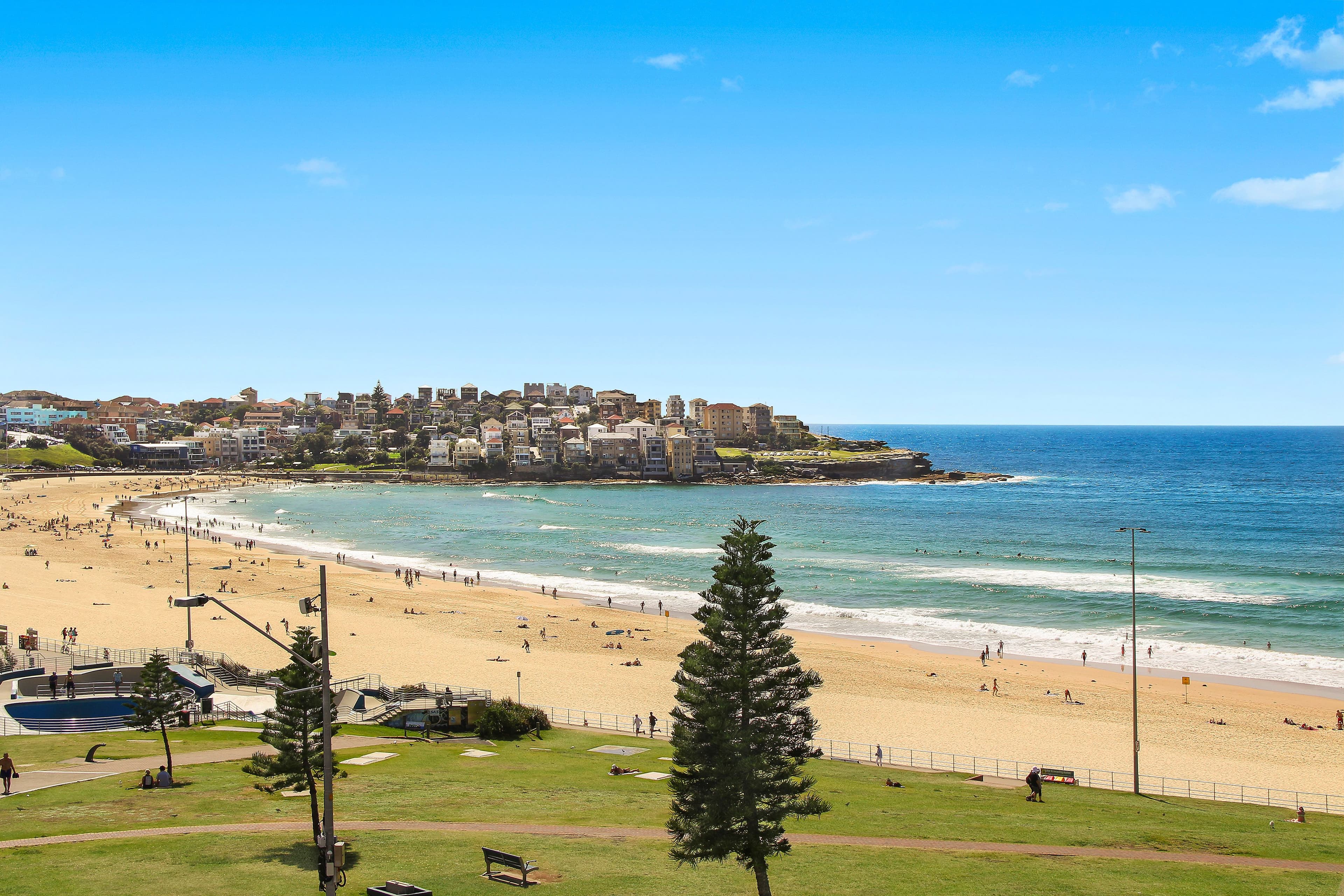 115 Wellington Street, Bondi Beach NSW 2026, Bondi Beach - Thumbnail 6