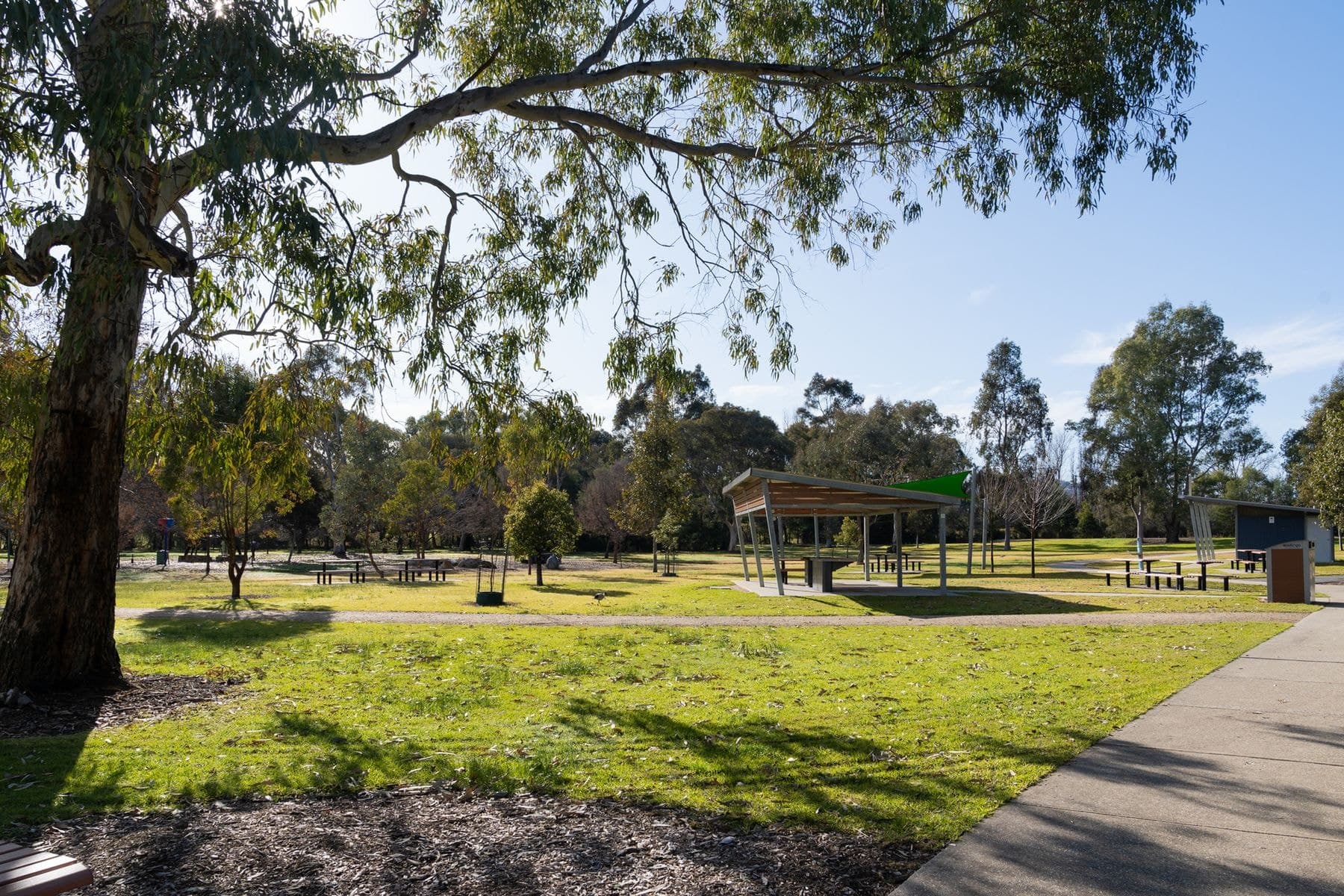 41 Pearce Street, Wodonga VIC 3690, Wodonga - Thumbnail 8