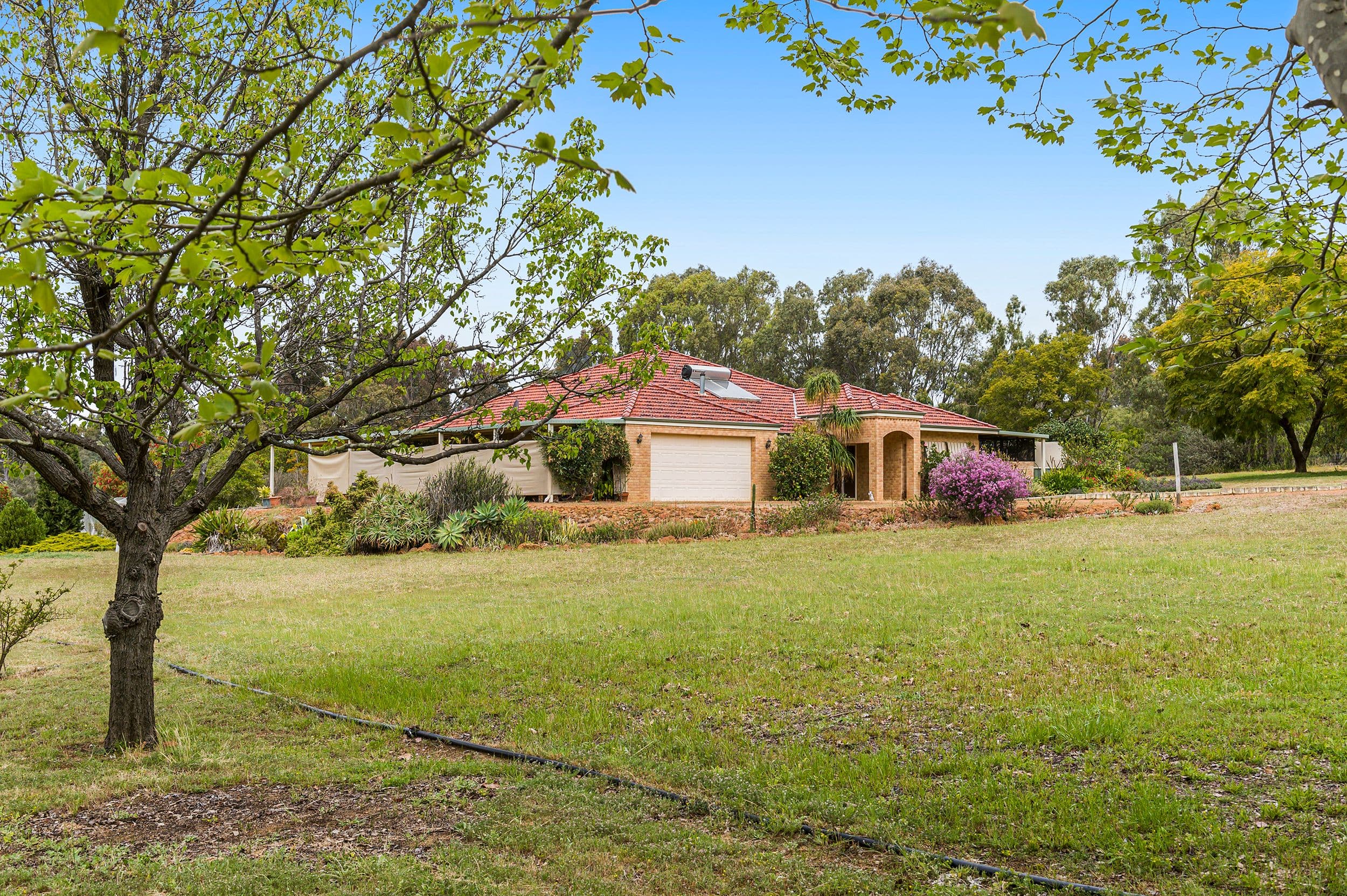 45 Galloway Rise, Lower Chittering WA 6084, Lower Chittering - Thumbnail 5