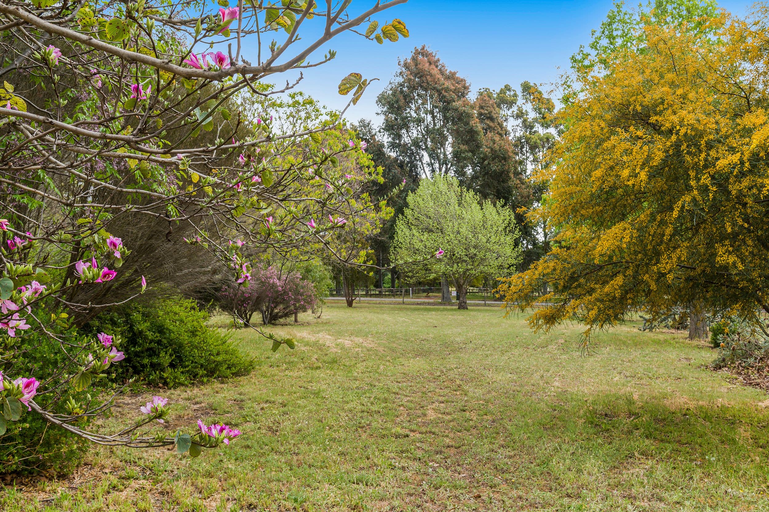 45 Galloway Rise, Lower Chittering WA 6084, Lower Chittering - Thumbnail 7