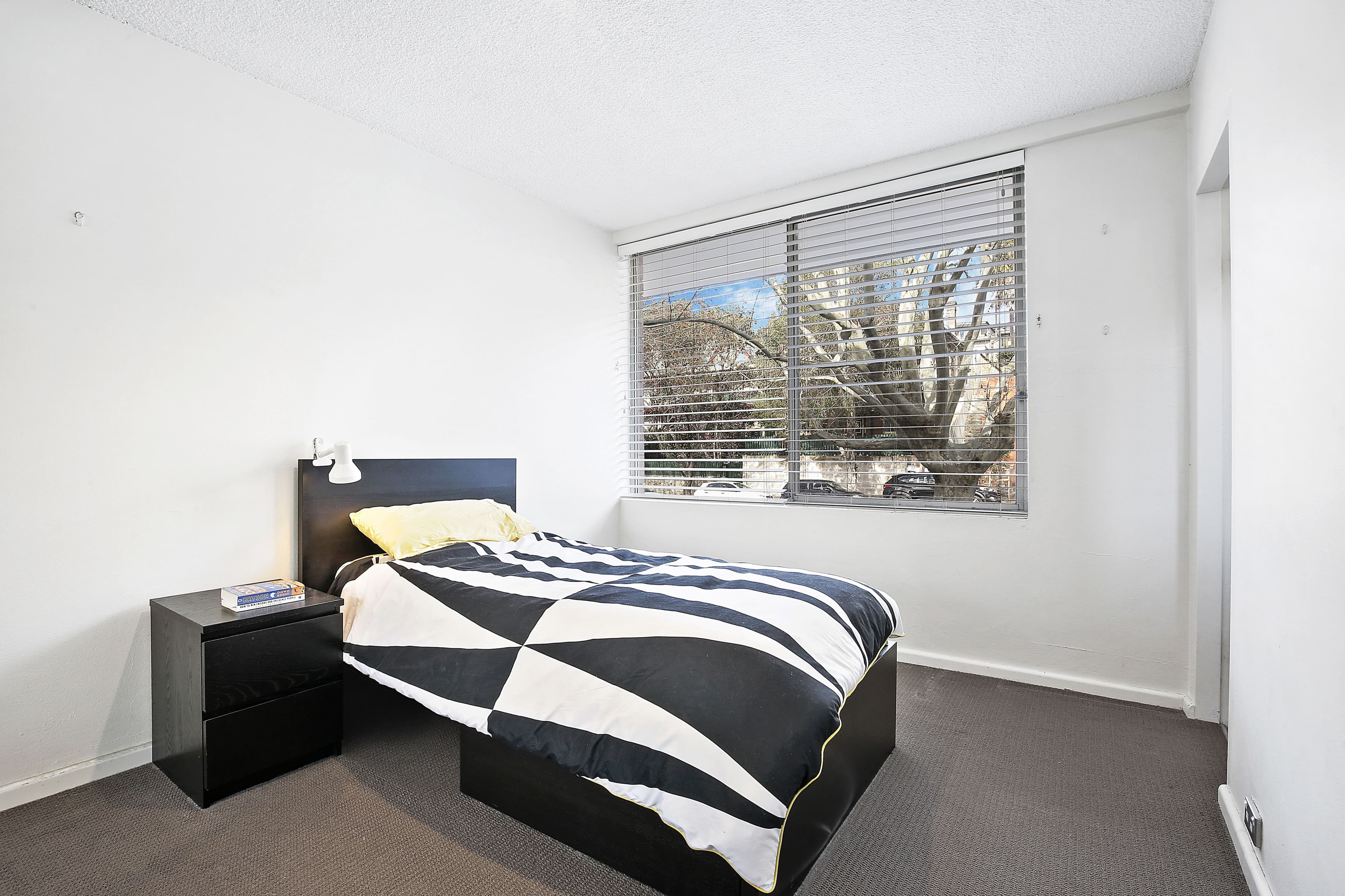 14-18 Sheehy Street, Glebe NSW 2037, Glebe - Thumbnail 4
