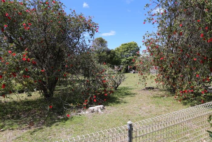 18 Dromedary Drive, MYSTERY BAY NSW 2546, Mystery Bay - Thumbnail 3