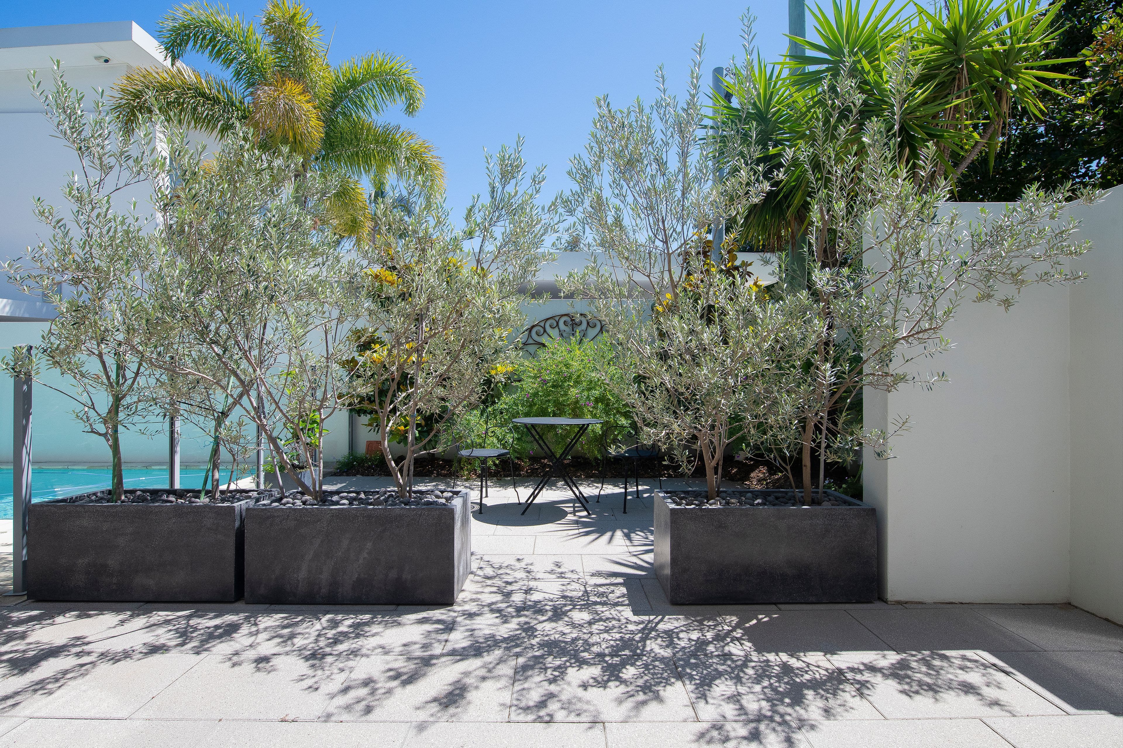 50 Petrel Avenue, Mermaid Beach QLD 4218, Mermaid Beach - Thumbnail 6