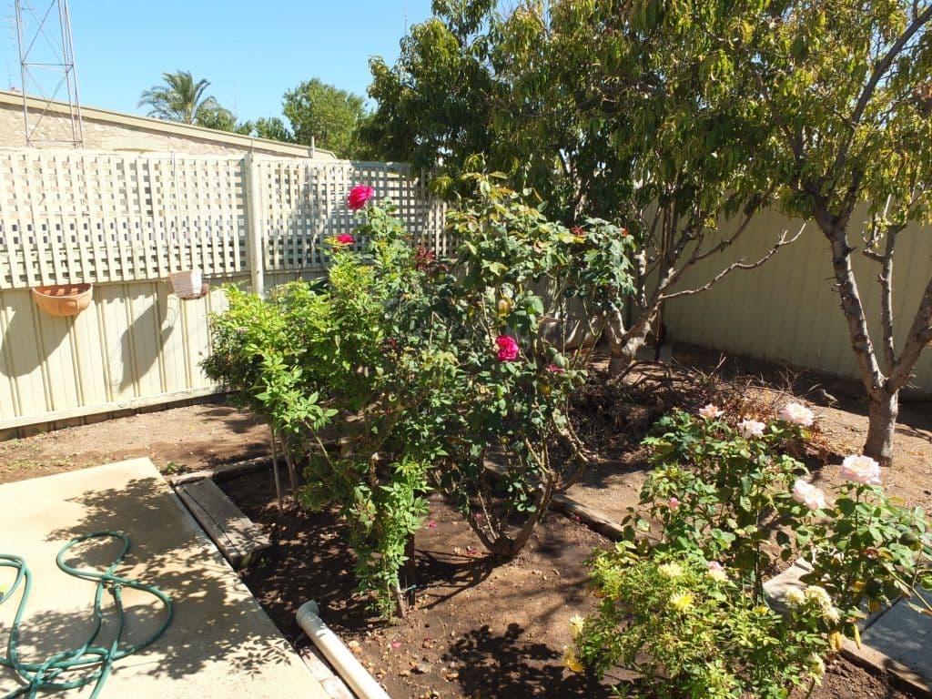 11 Marshall Street, WALLAROO SA 5556, Wallaroo - Thumbnail 8