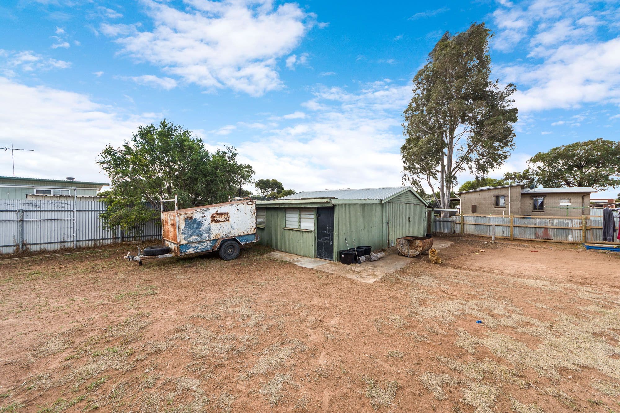 48 Lachlan Avenue, Murray Bridge SA 5253, Murray Bridge - Thumbnail 5