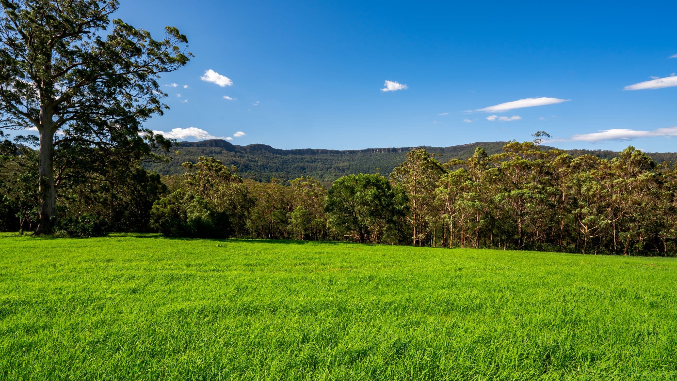 Lot 31 Woodhill Mountain Road, Berry NSW 2535, Berry - Thumbnail 2