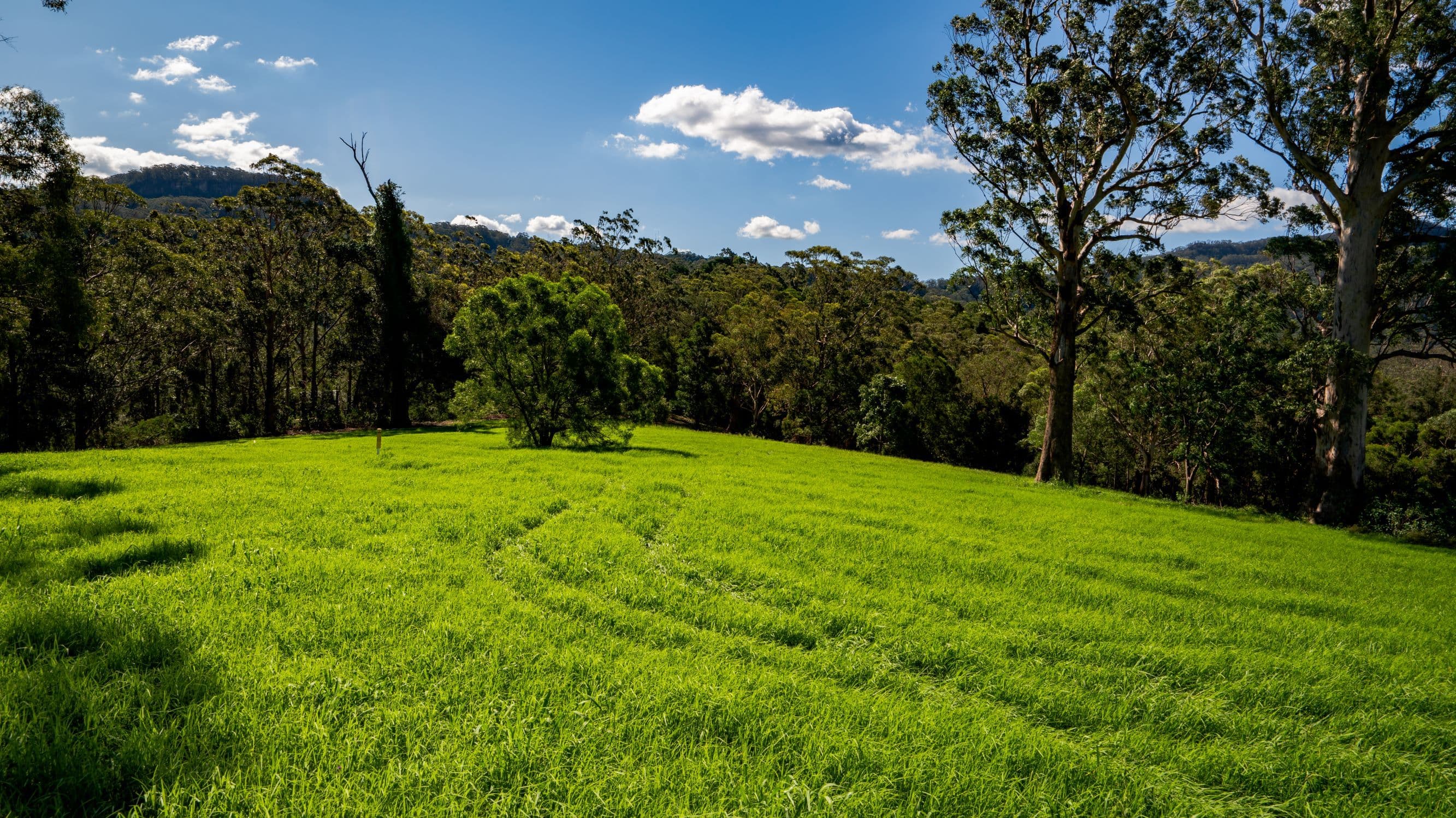 Lot 31 Woodhill Mountain Road, Berry NSW 2535, Berry - Thumbnail 3