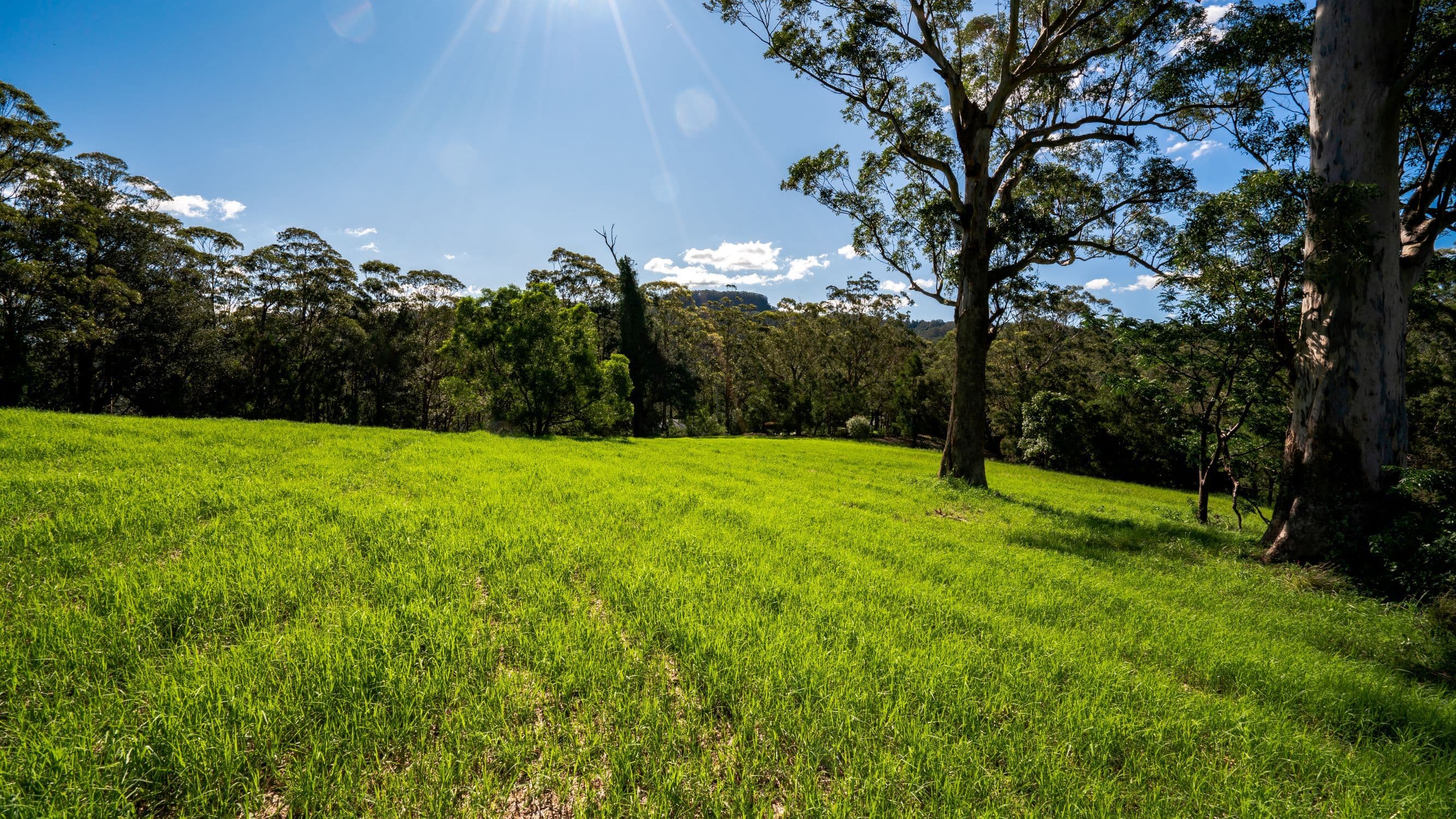 Lot 31 Woodhill Mountain Road, Berry NSW 2535, Berry - Thumbnail 4
