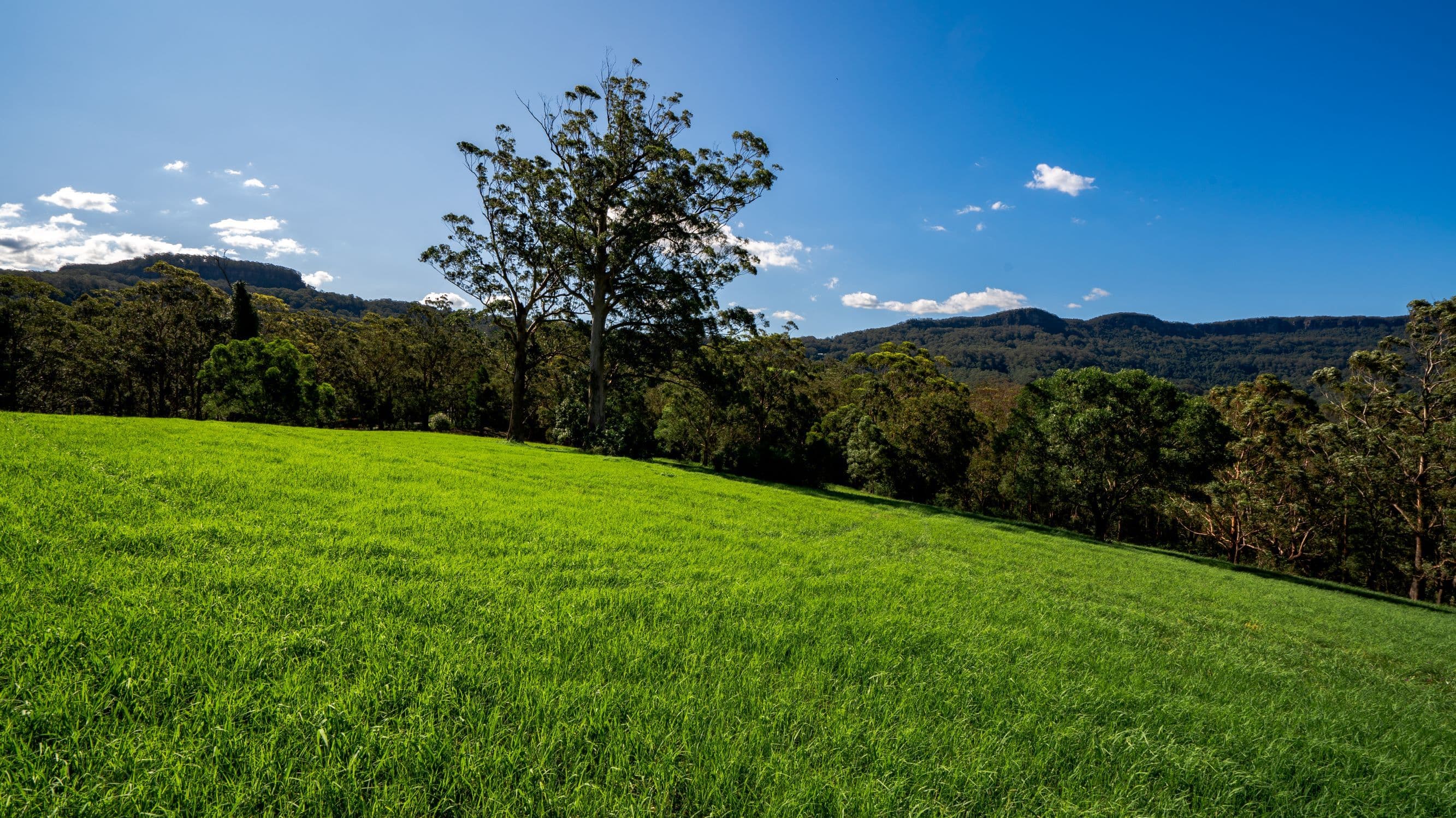 Lot 31 Woodhill Mountain Road, Berry NSW 2535, Berry - Thumbnail 6