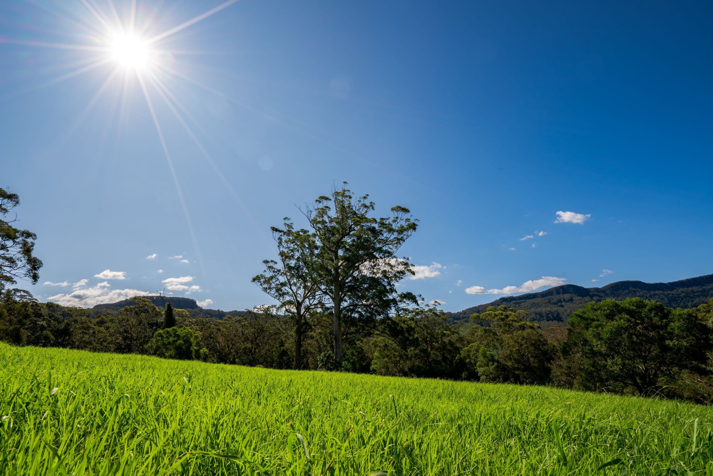 Lot 31 Woodhill Mountain Road, Berry NSW 2535, Berry - Thumbnail 7