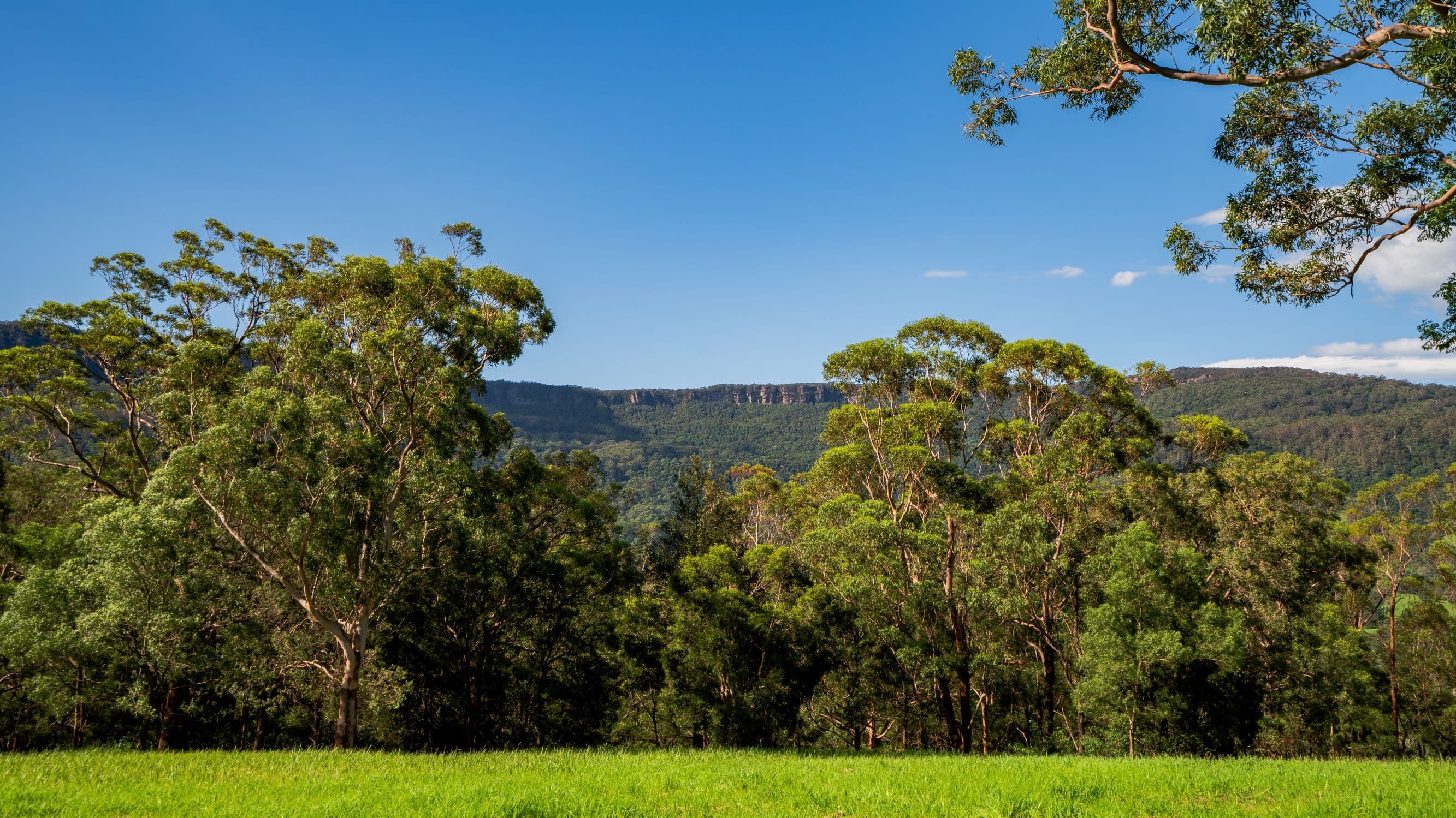 Lot 31 Woodhill Mountain Road, Berry NSW 2535, Berry - Thumbnail 8