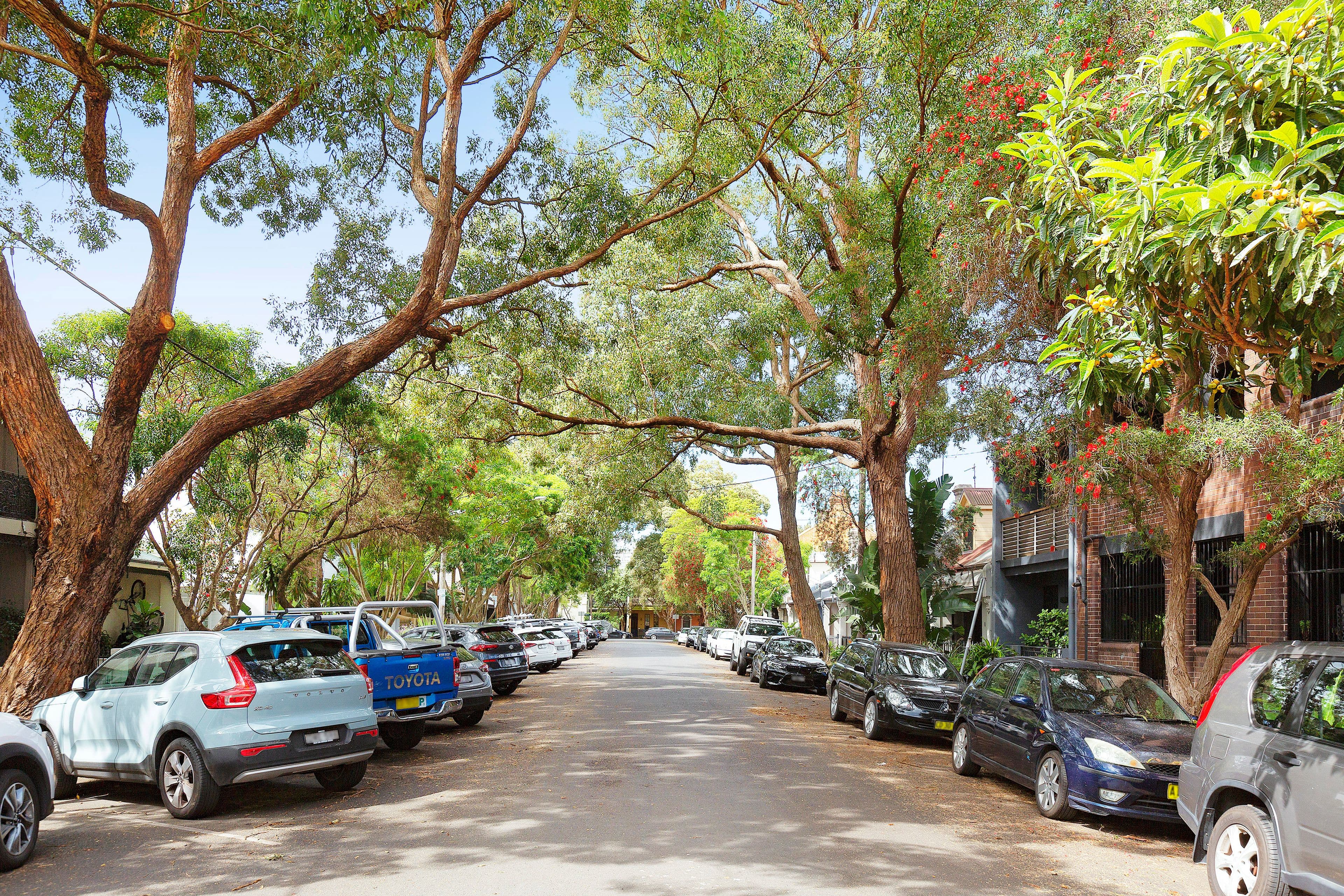 14 Anderson Street, Alexandria NSW 2015, Alexandria - Thumbnail 6