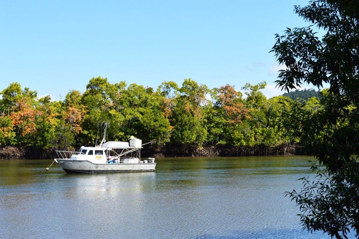 1 Palm Drive, Carmoo QLD 4852, Carmoo - Thumbnail 4