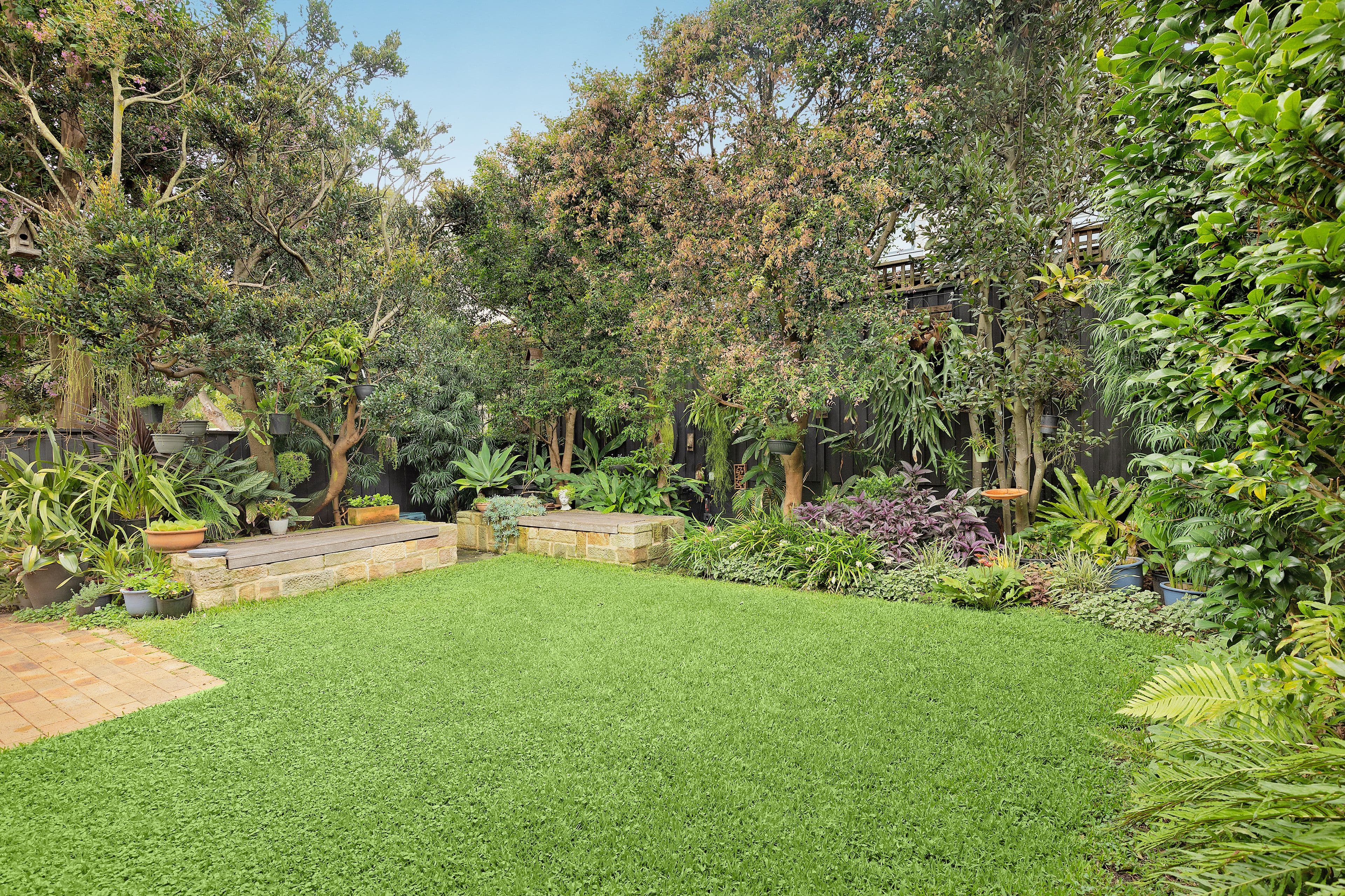 22 Robert Street, Artarmon NSW 2064, Artarmon - Thumbnail 6
