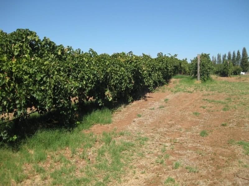 1246 Great Northern Highway, UPPER SWAN WA 6069, Upper Swan - Thumbnail 4