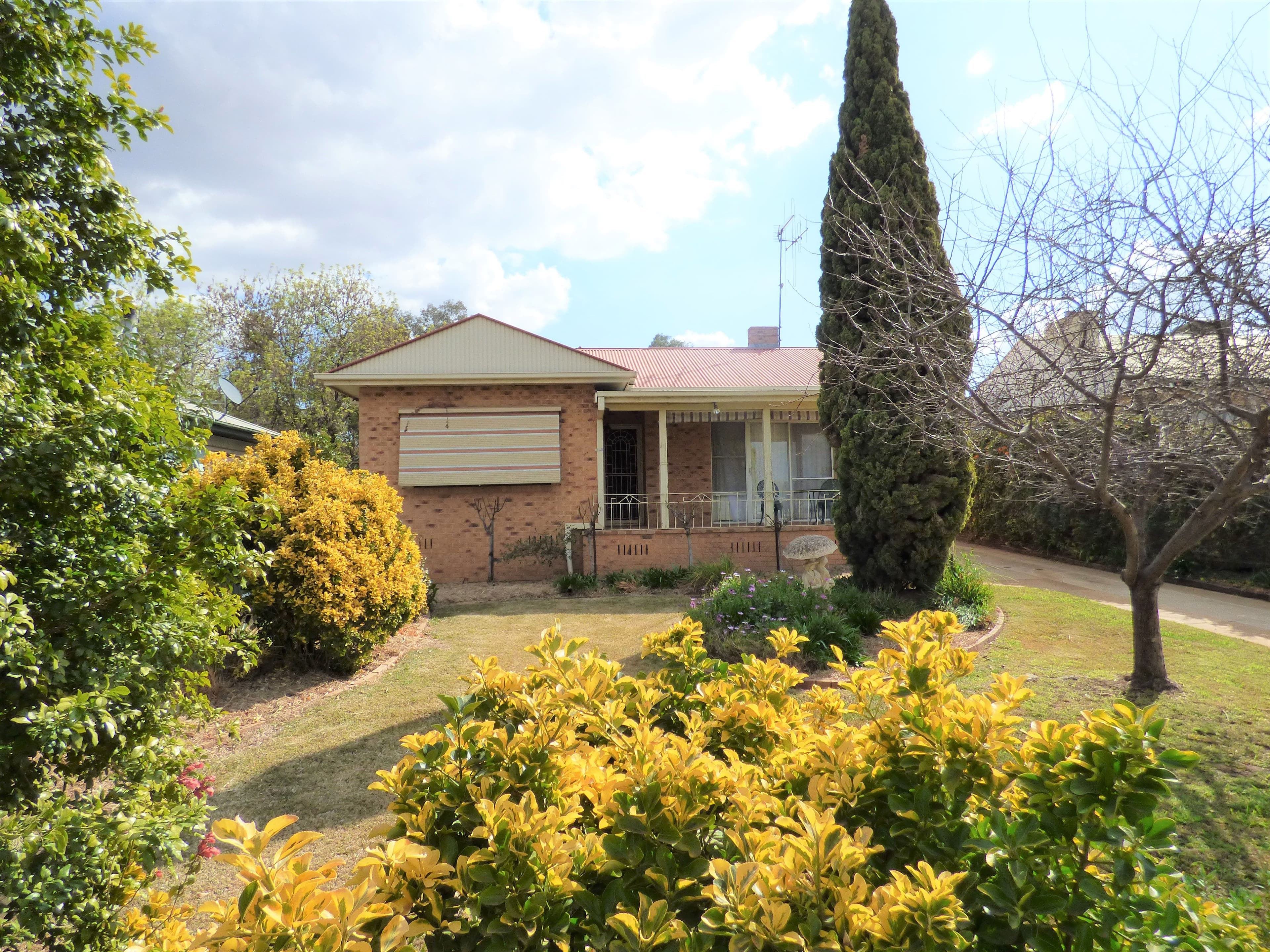 48 Calarie Road, Forbes - Image 1