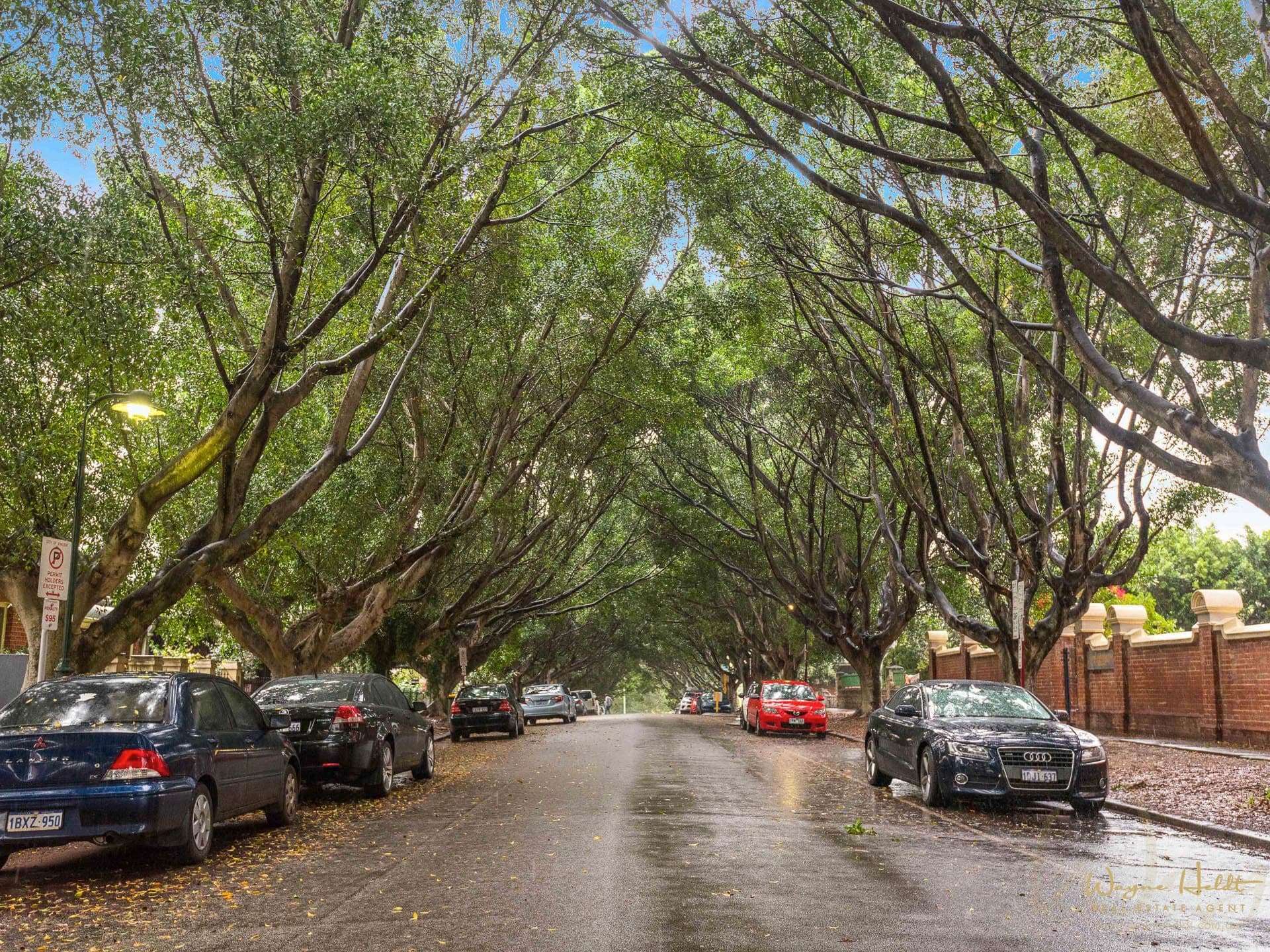 31 Mary Street, Highgate WA 6003, Highgate - Thumbnail 2