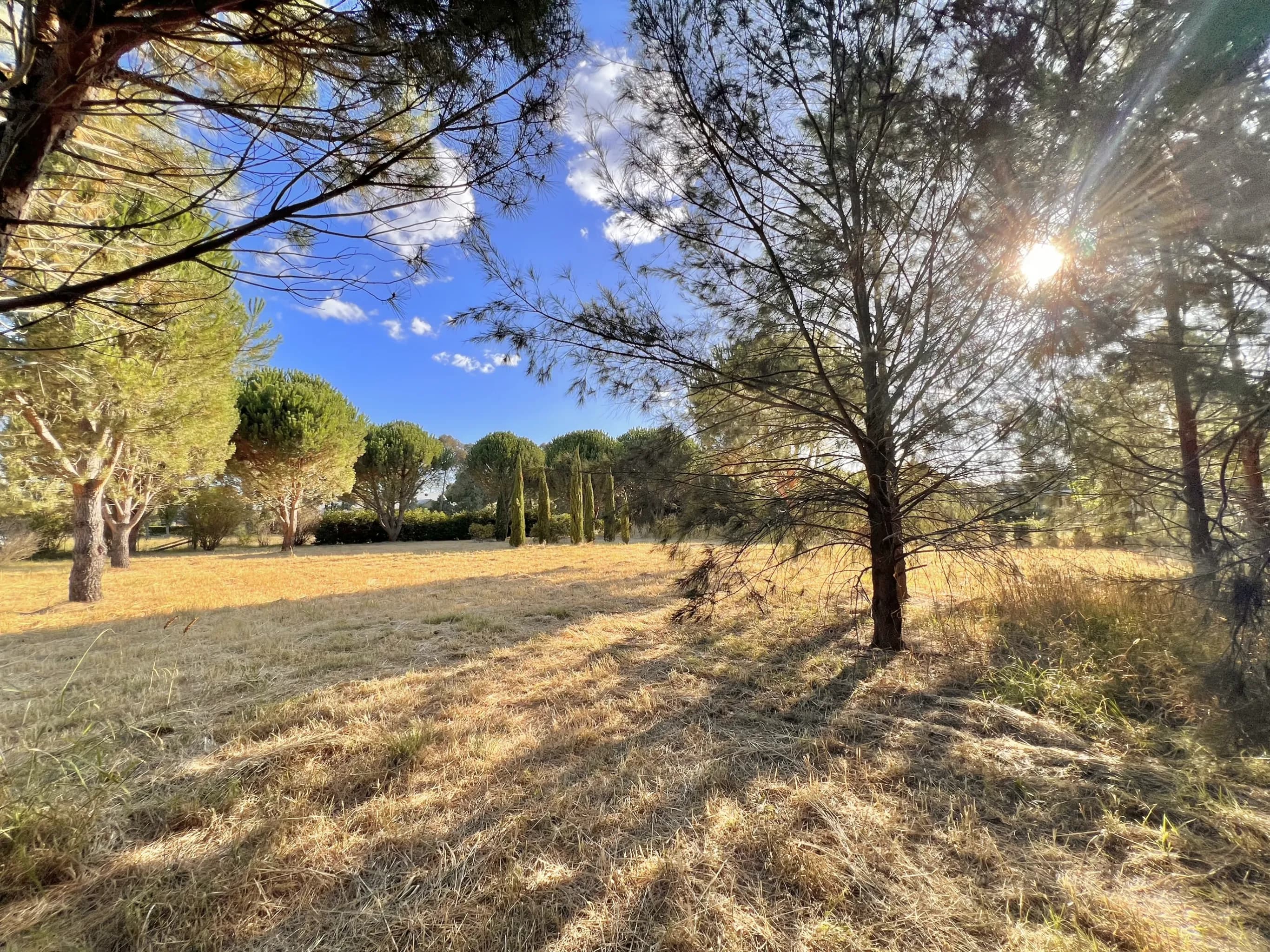 94 Cork Street, Gundaroo NSW 2620, Gundaroo - Thumbnail 2